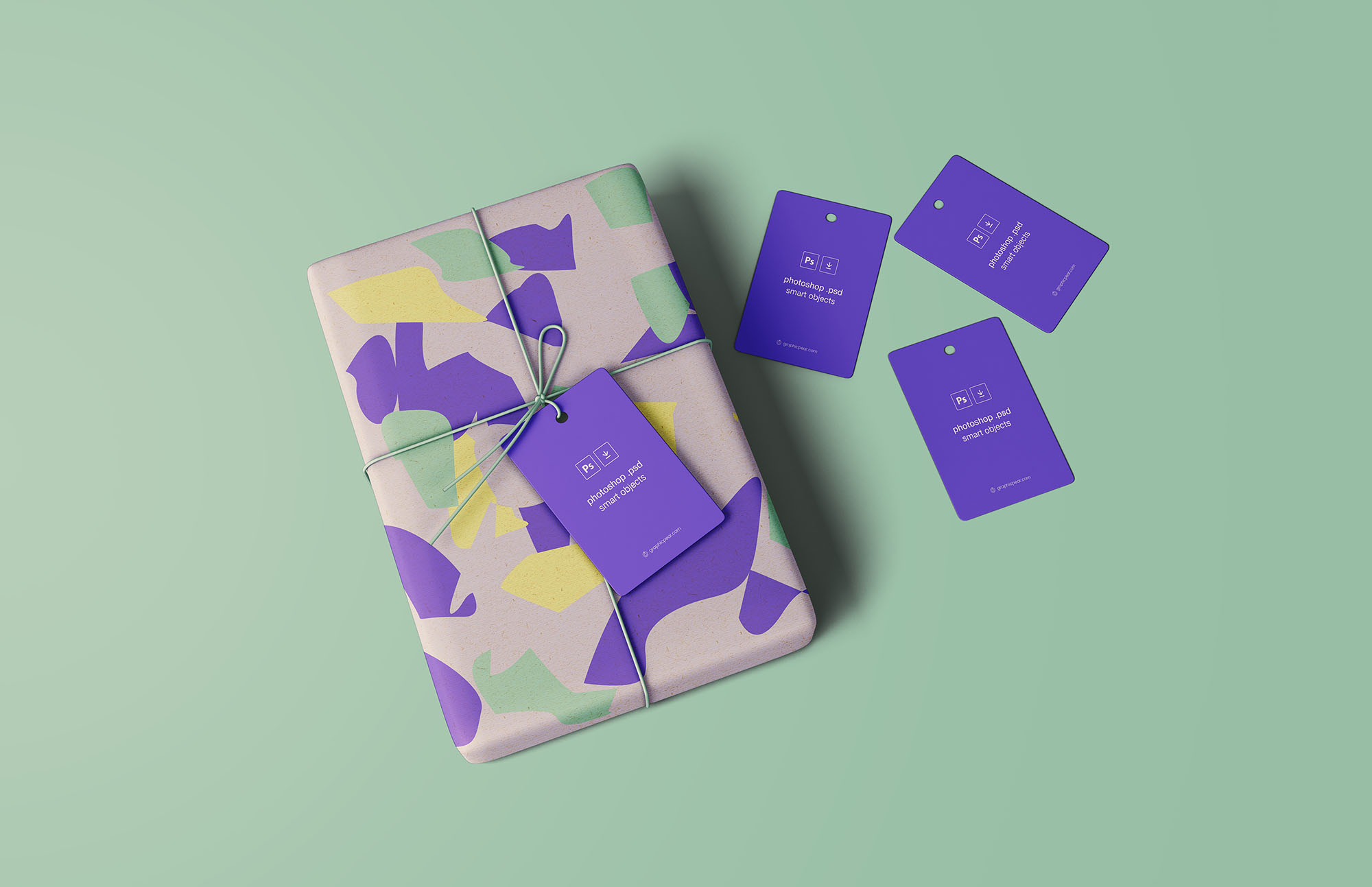 礼品包装封面&标签样机 Wrapped Gift Mockup插图