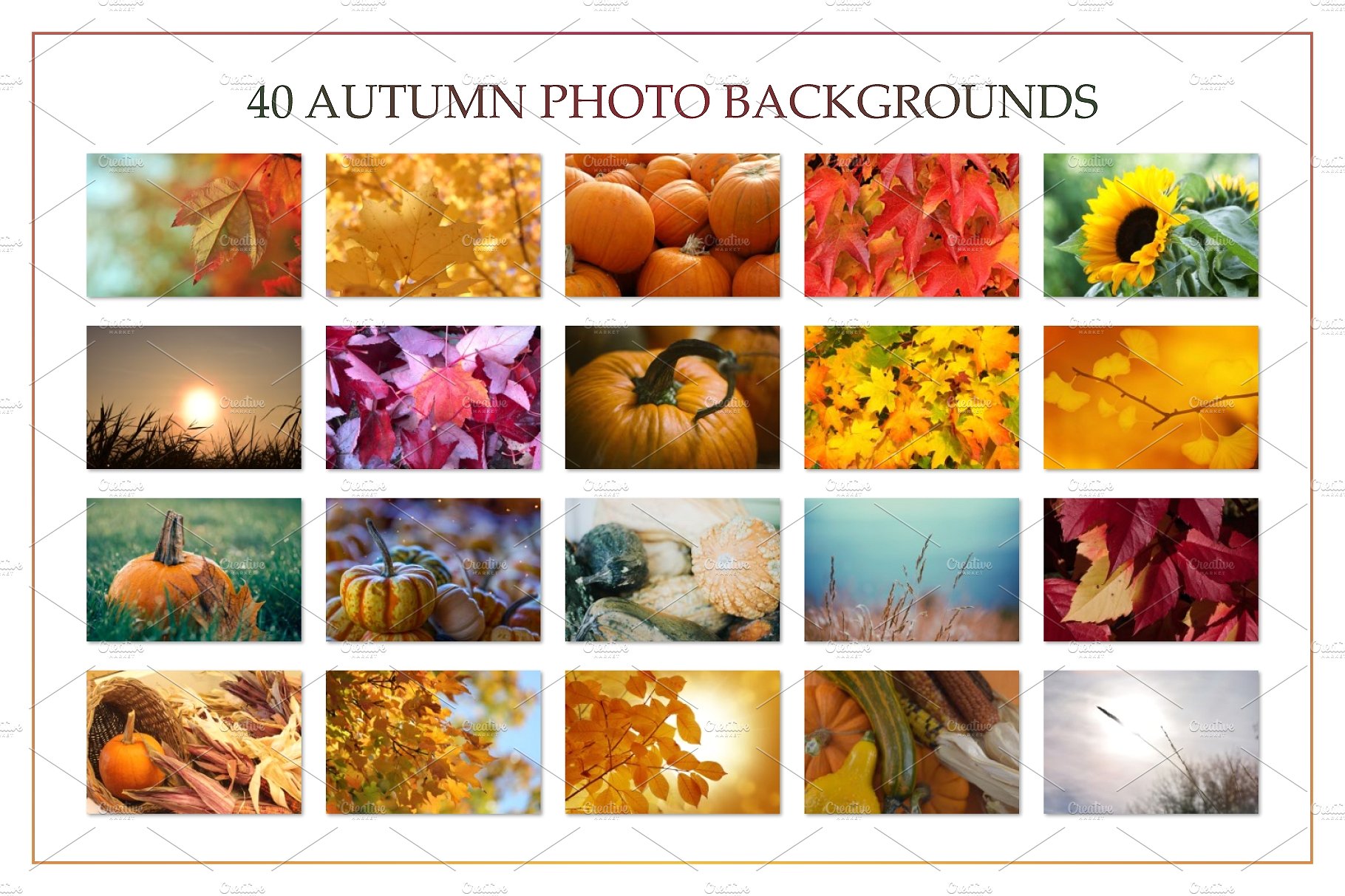 华丽的秋季实体模型和图形 Autumn Mockup Scene Creator插图9
