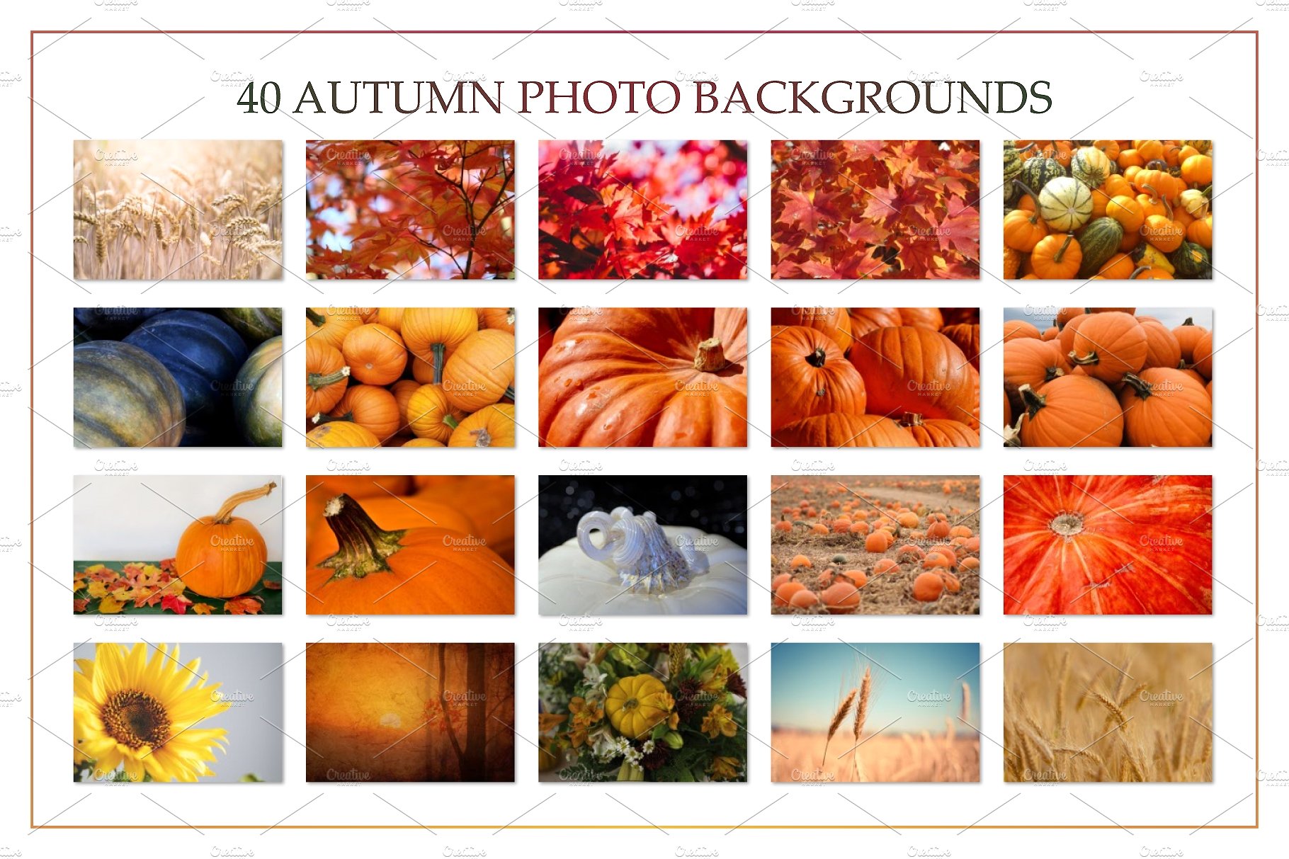 华丽的秋季实体模型和图形 Autumn Mockup Scene Creator插图8