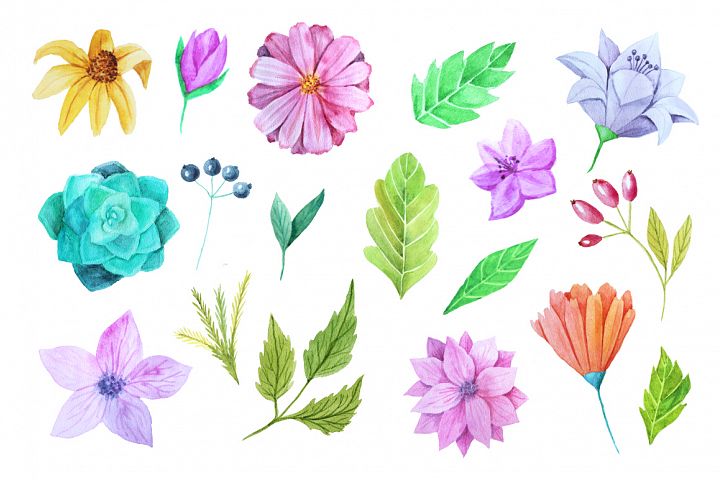 手绘水彩花卉剪贴画合集 Hand Drawn Watercolor Floral Clip Art Collection插图3