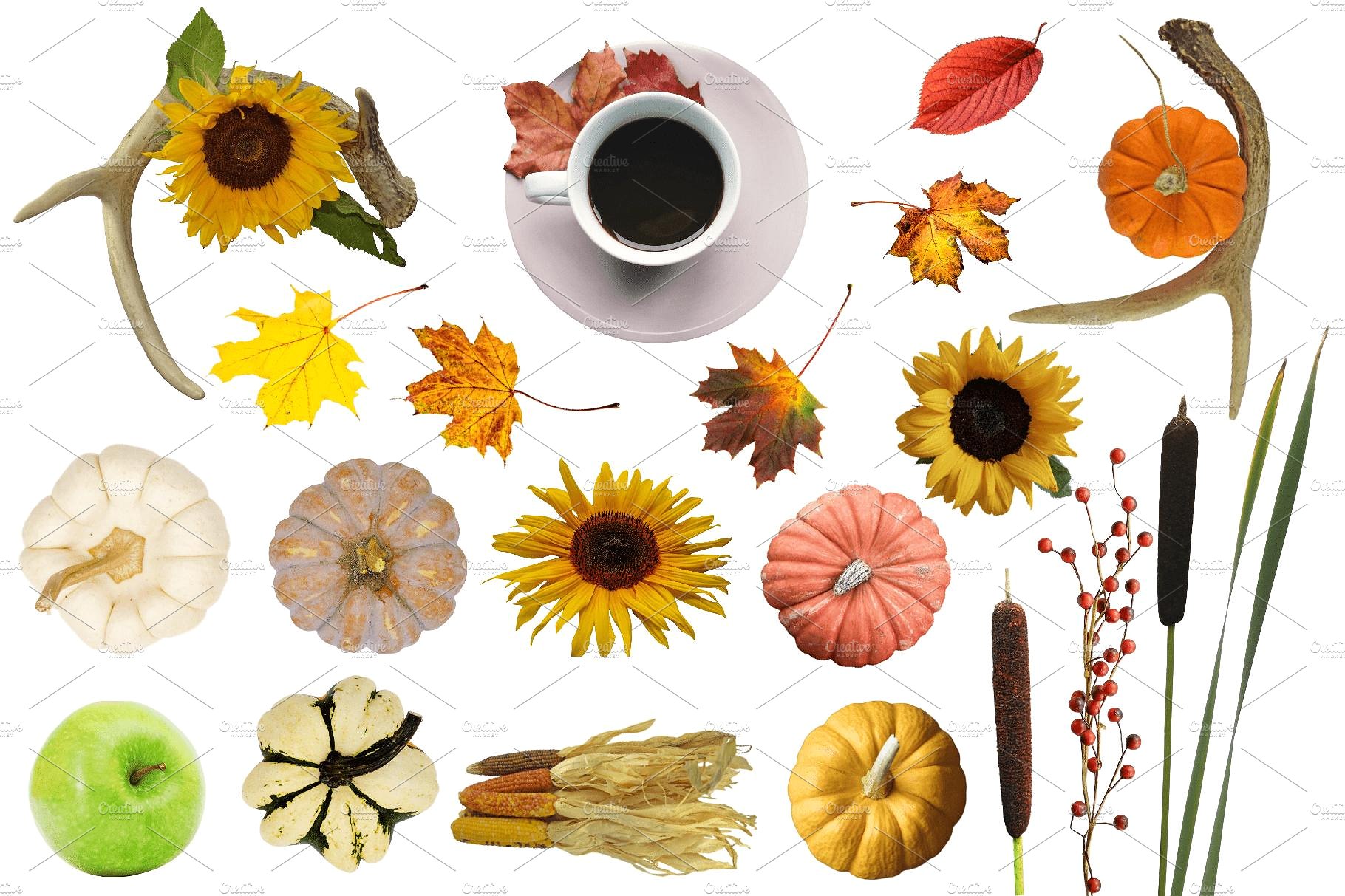 华丽的秋季实体模型和图形 Autumn Mockup Scene Creator插图5