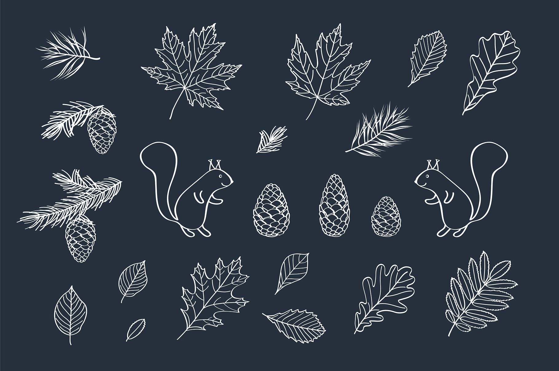 多款手绘叶子元素图案合集 Hand Drawn Leaves Of Different Trees插图4