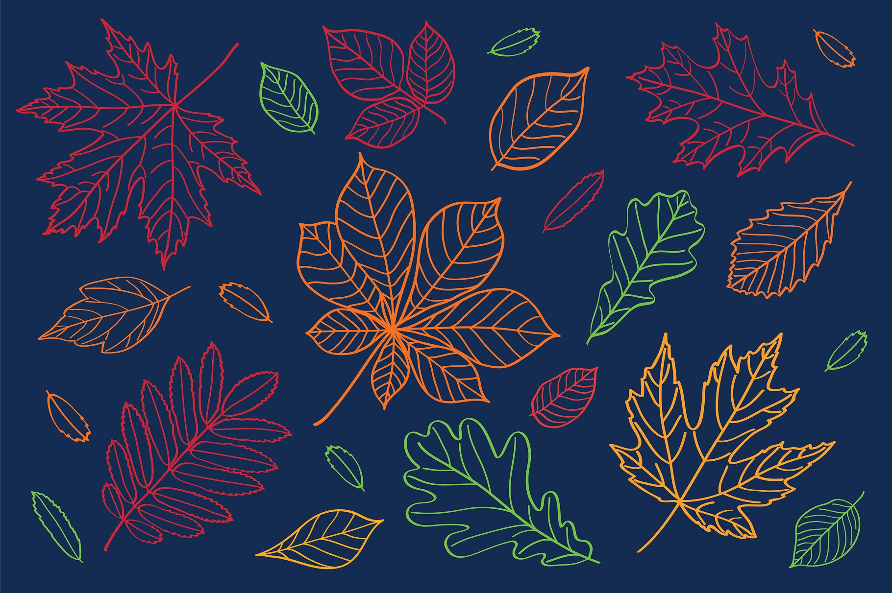 多款手绘叶子元素图案合集 Hand Drawn Leaves Of Different Trees插图7