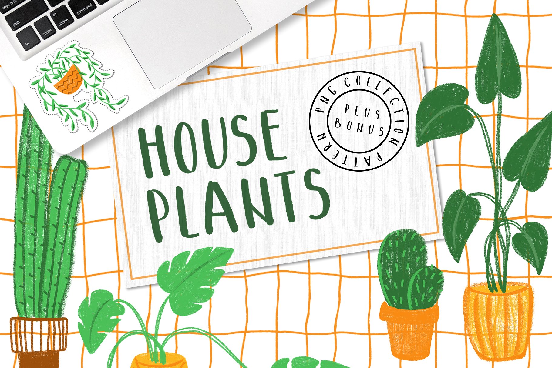 手绘室内植物图案集合 Hand Drawn Indoor Plant Pattern Collection插图