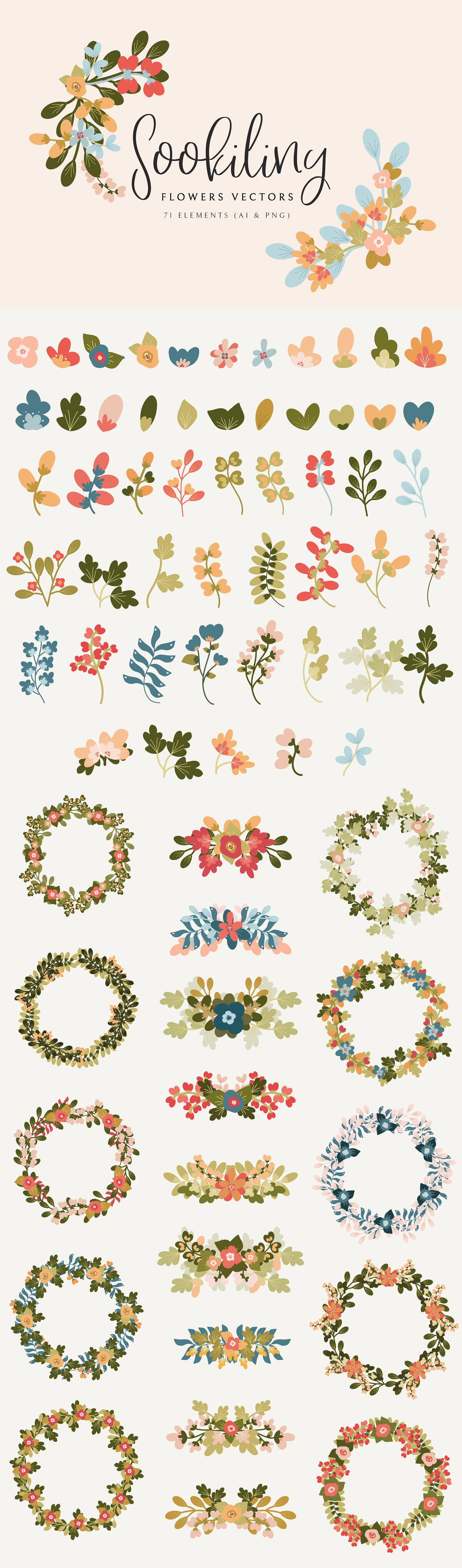 71款手绘花卉元素集合 71 Sookiliny Floral Set插图