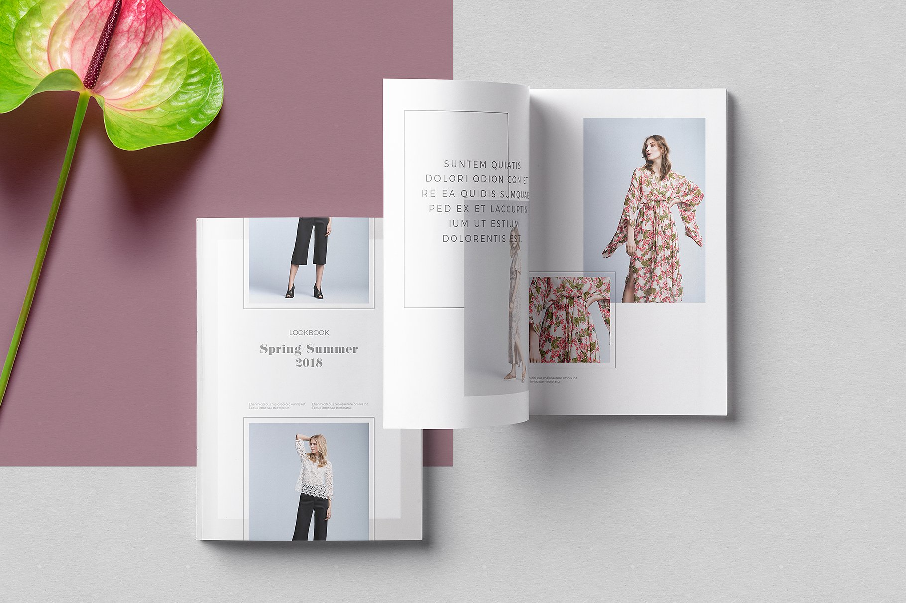 整洁优雅的现代风格女性服装画册模板 Neat And Elegant Modern Style Women’s Clothing Album Template插图