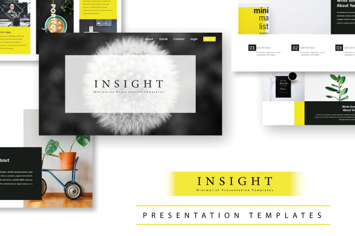 精美独特的企业介绍PowerPoint模板 Insight Minimal PowerPoint Template插图