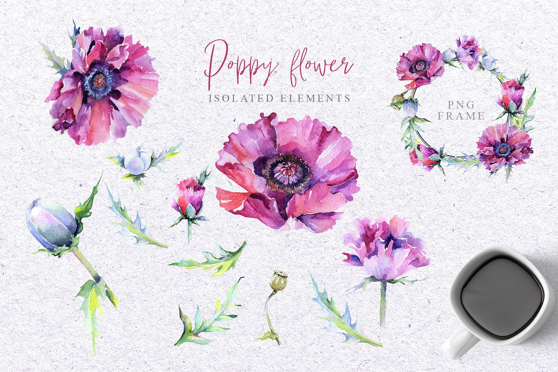粉红色的花卉PNG水彩画集 Pink Poppy Flower PNG Watercolor Set插图6