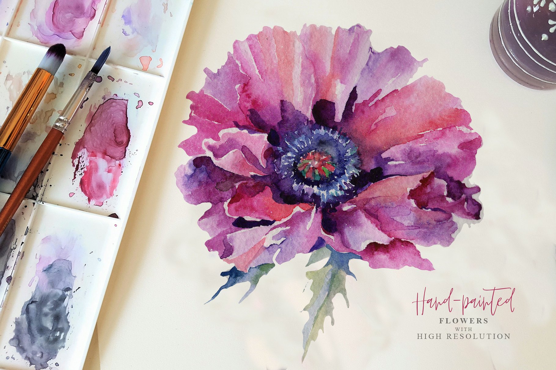粉红色的花卉PNG水彩画集 Pink Poppy Flower PNG Watercolor Set插图1