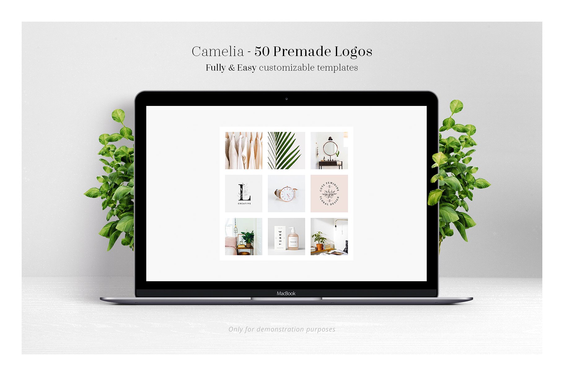 50个以茶花为元素的标志模板 Camelia – 50 Premium Logo Templates插图2