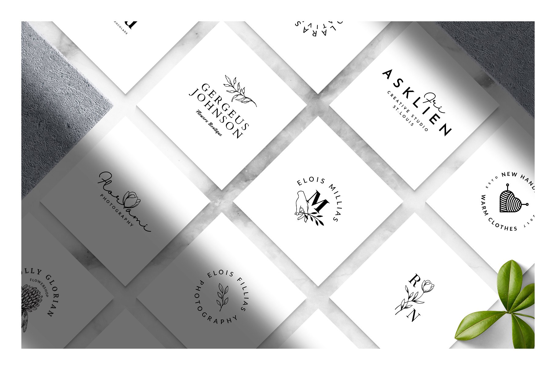 50个以茶花为元素的标志模板 Camelia – 50 Premium Logo Templates插图6