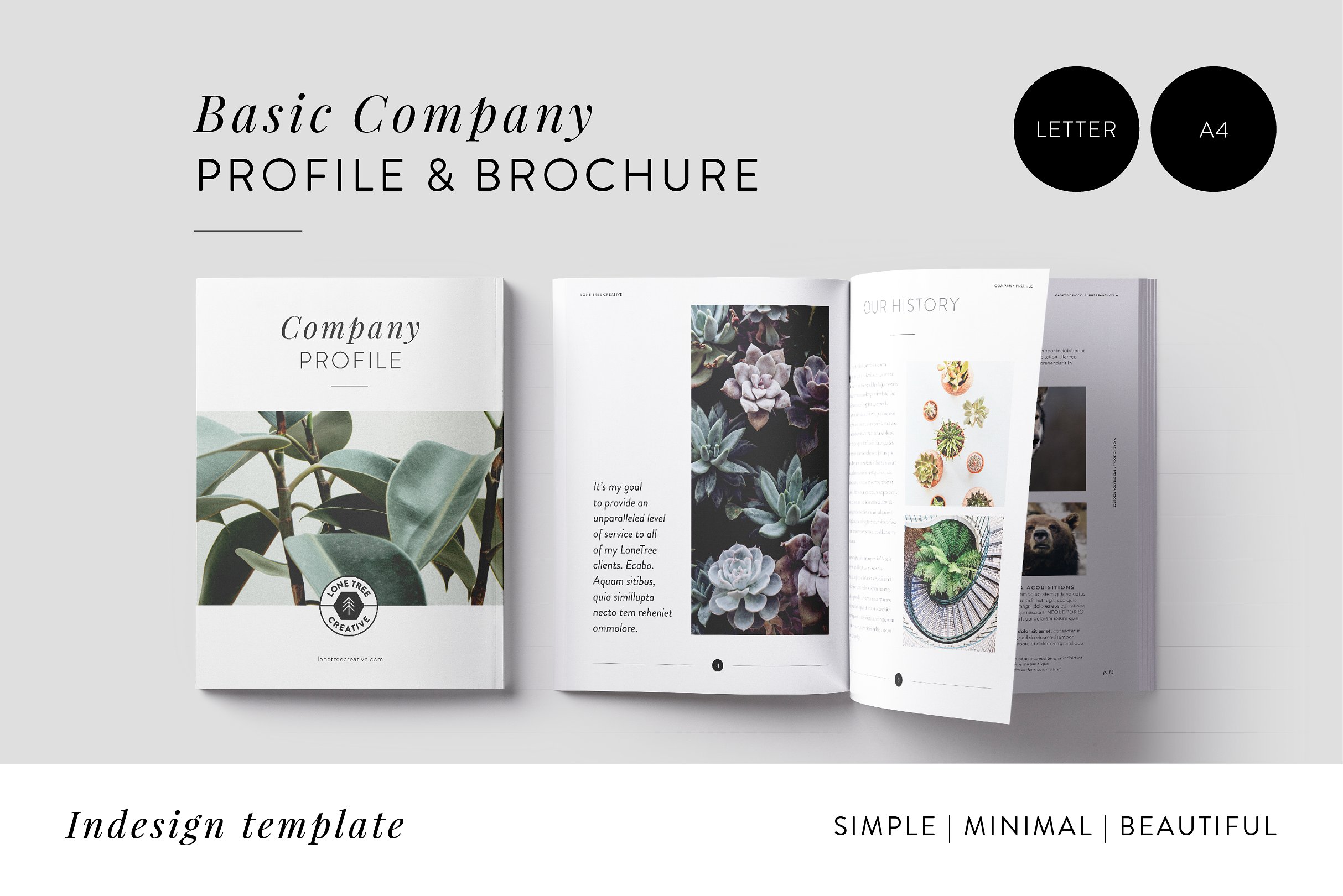 时尚简约的摄影宣传册模板 Minimal Company Profile + Brochure插图