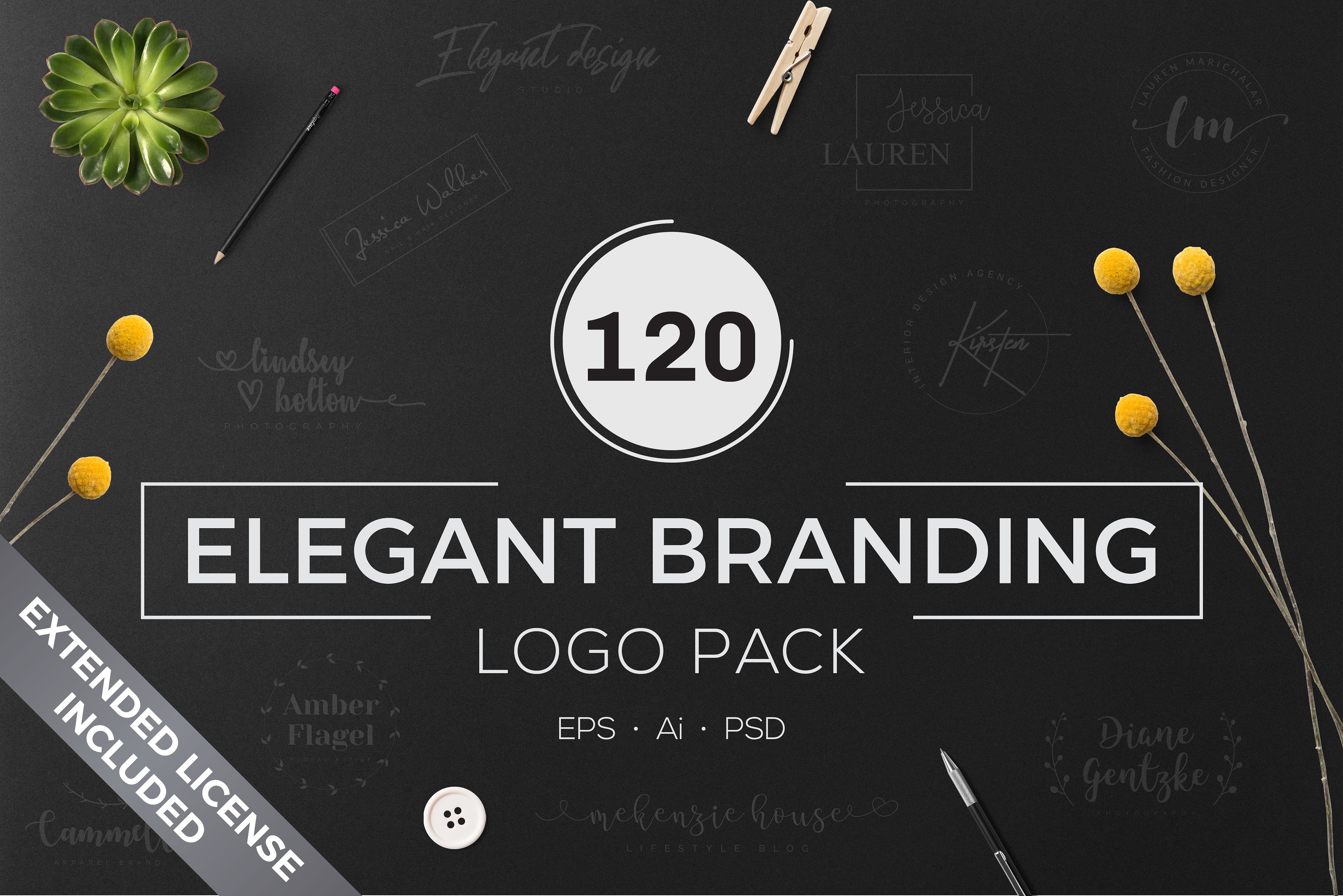120款优雅的品牌标识完美的集合 120 Elegant Branding Logo Pack插图