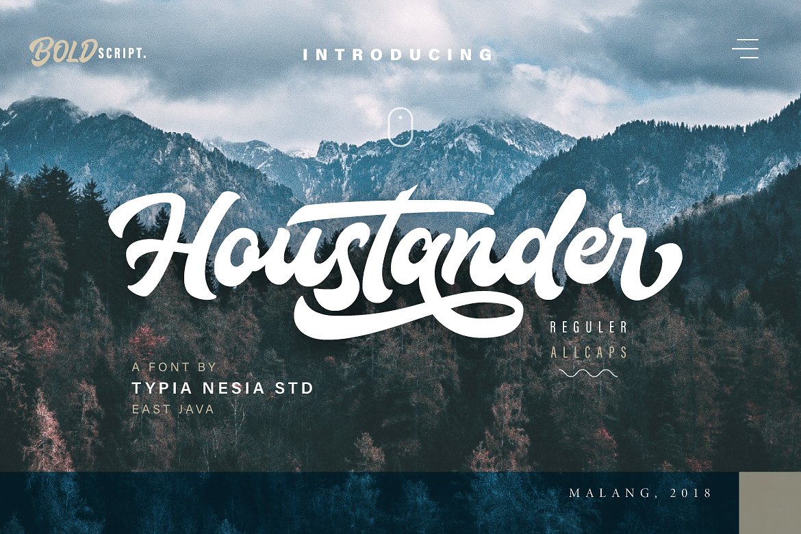 现代手写标志或标题字体 Houstander Font Duo插图