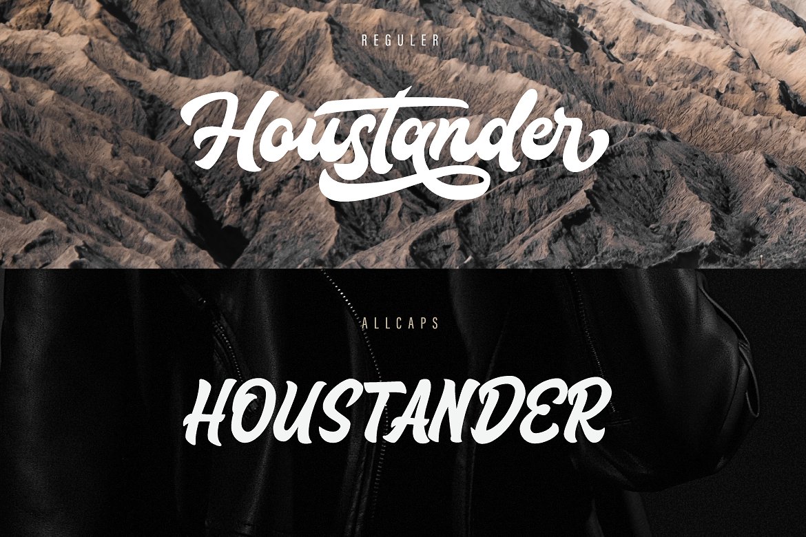 现代手写标志或标题字体 Houstander Font Duo插图1