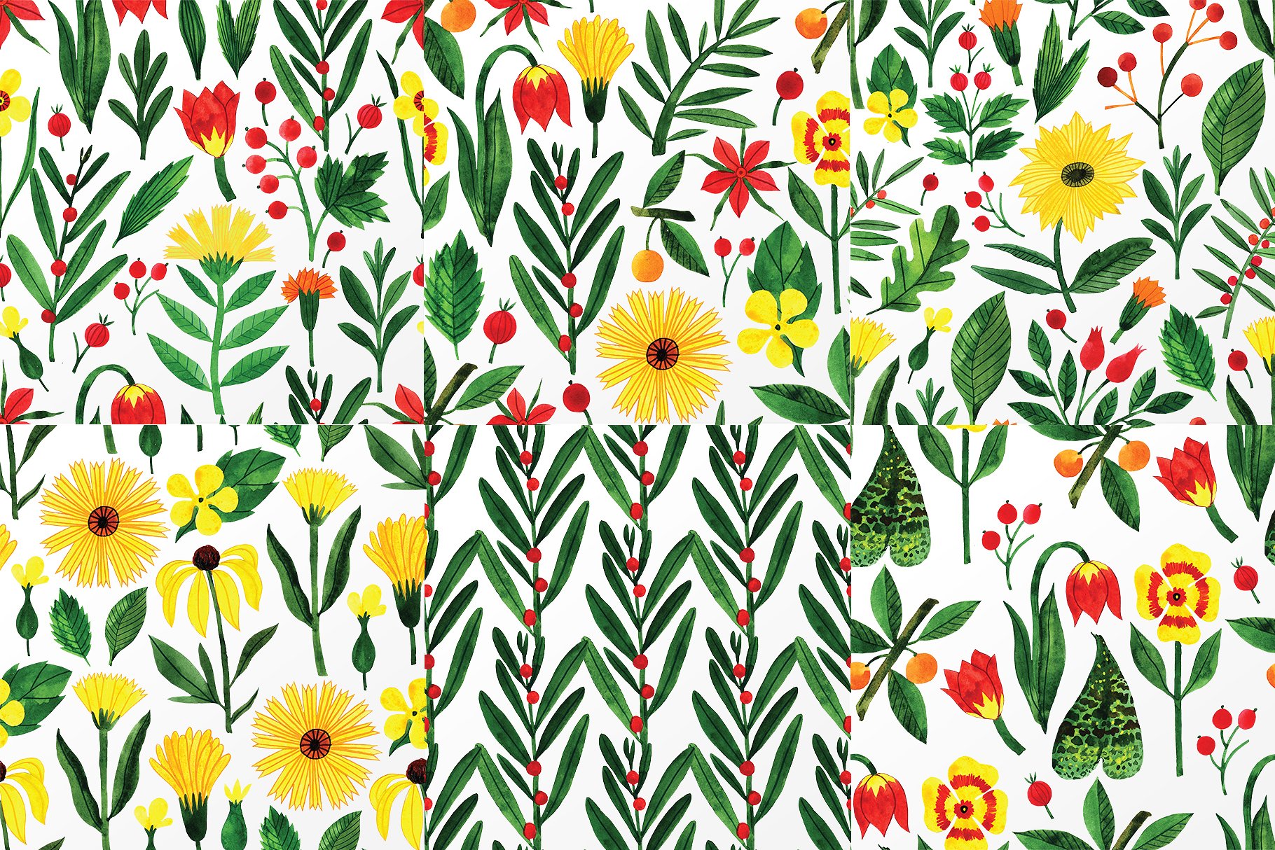 彩色铅笔绘制的花朵元素图案集 Botanic Watercolor Collection插图6