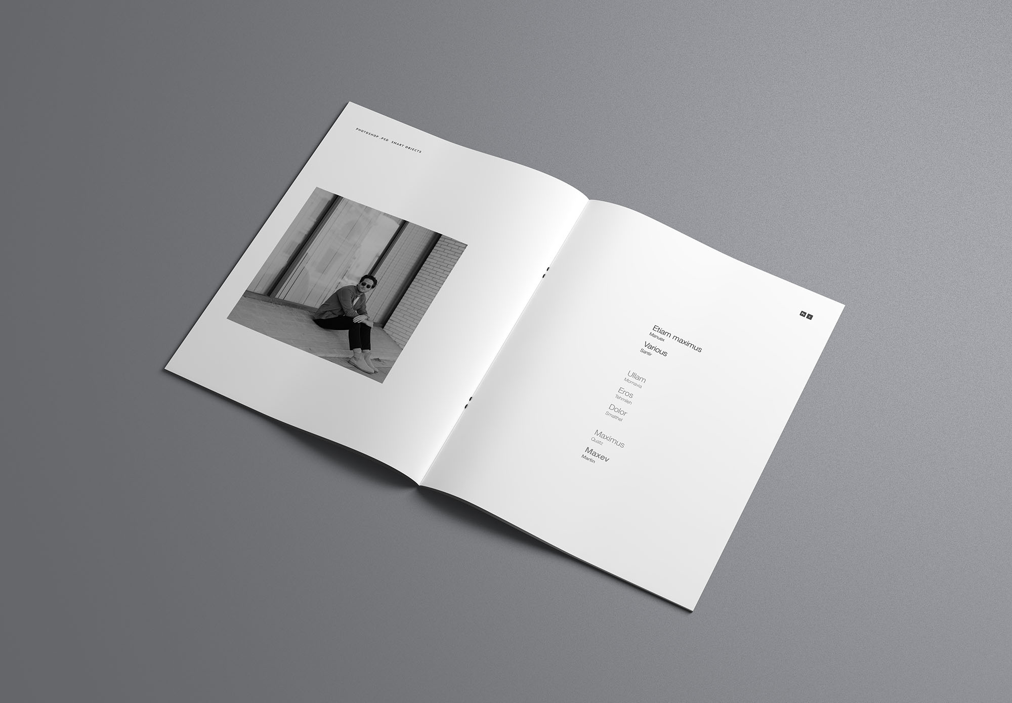 时尚简约优雅的专业画册杂志设计样机展示 Fashion Simple And Elegant Professional Album Magazine Design Prototype Show[2.16G]插图3
