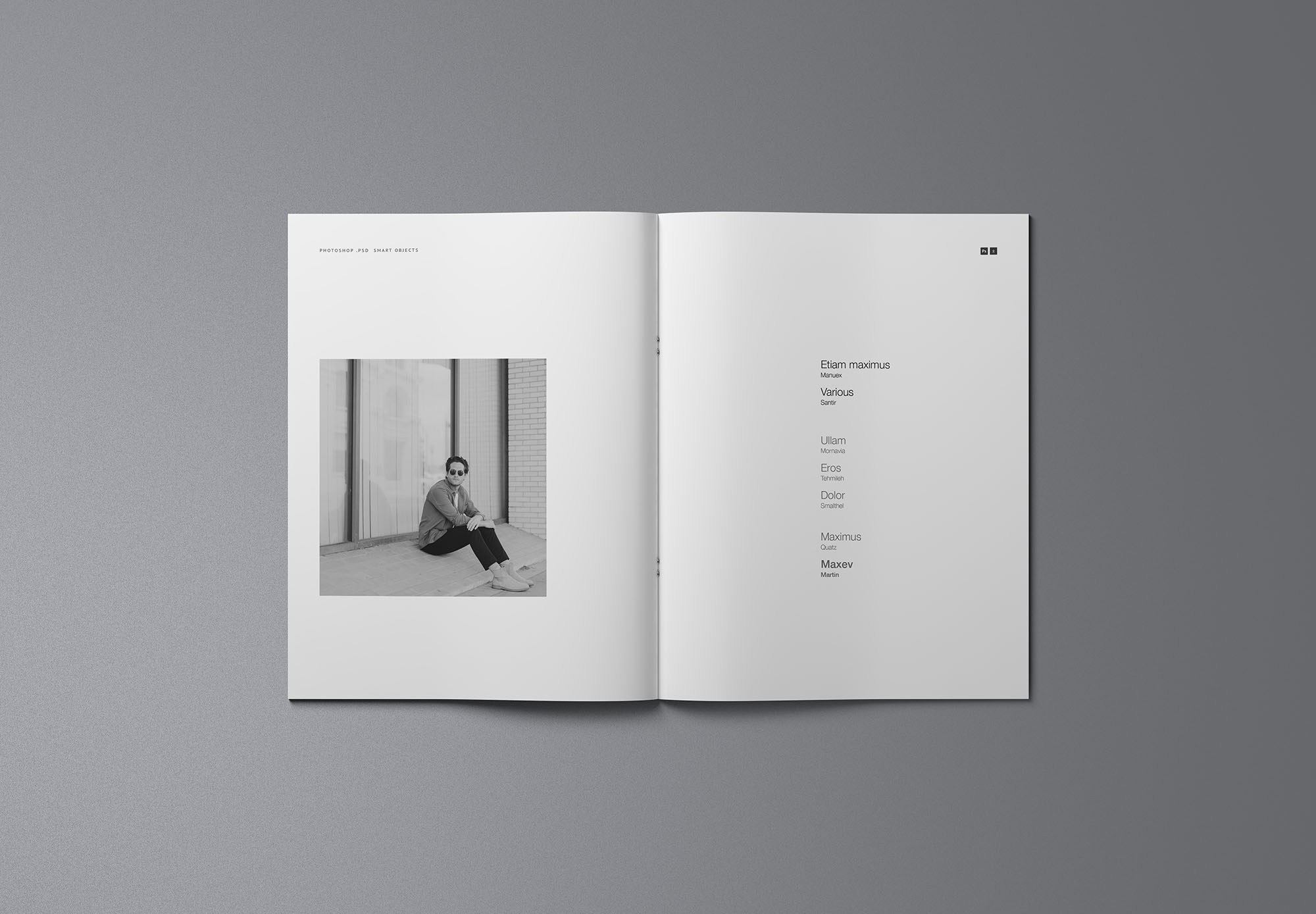 时尚简约优雅的专业画册杂志设计样机展示 Fashion Simple And Elegant Professional Album Magazine Design Prototype Show[2.16G]插图5