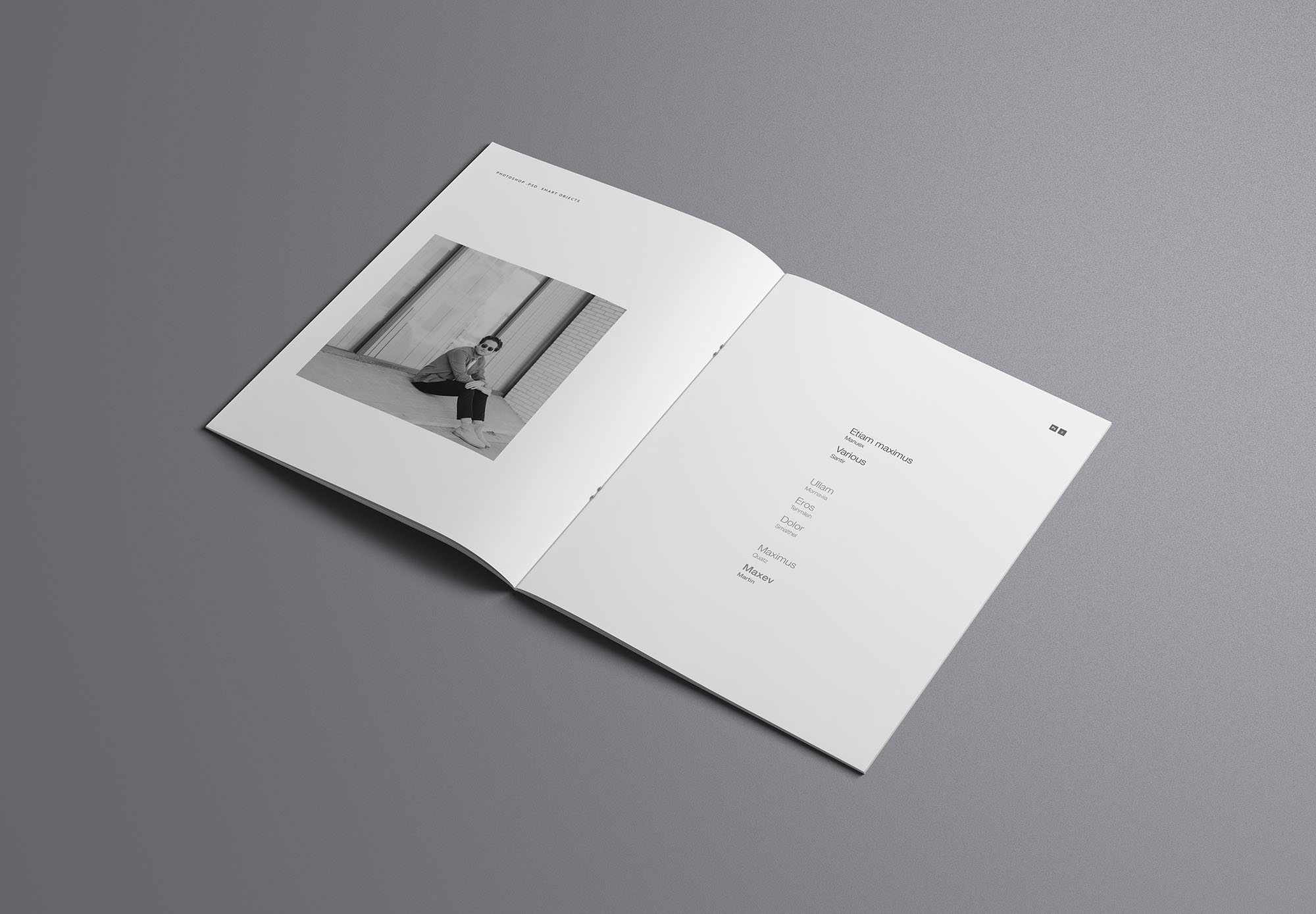 时尚简约优雅的专业画册杂志设计样机展示 Fashion Simple And Elegant Professional Album Magazine Design Prototype Show[2.16G]插图7