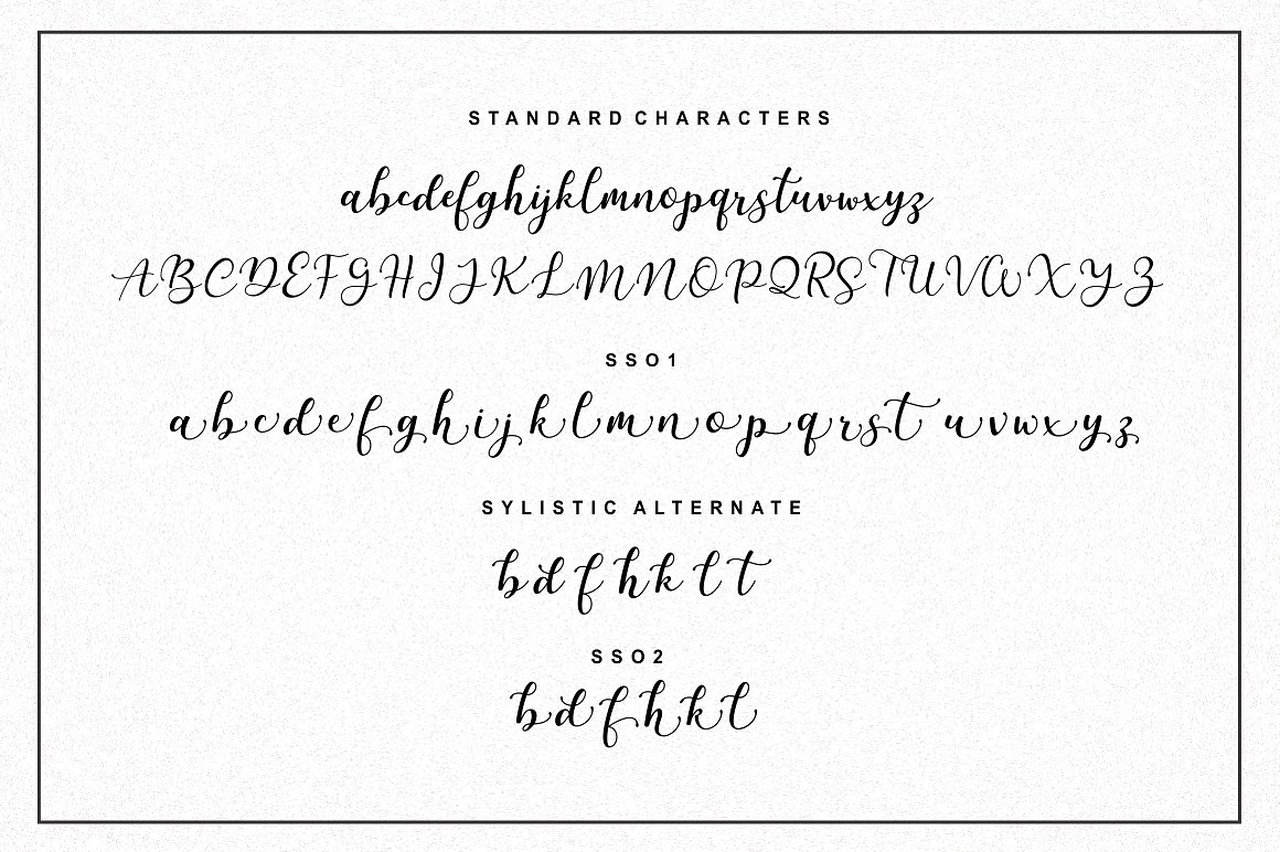现代和优雅的手写签名脚本字体 Martinesse – Beautiful Script Font插图11