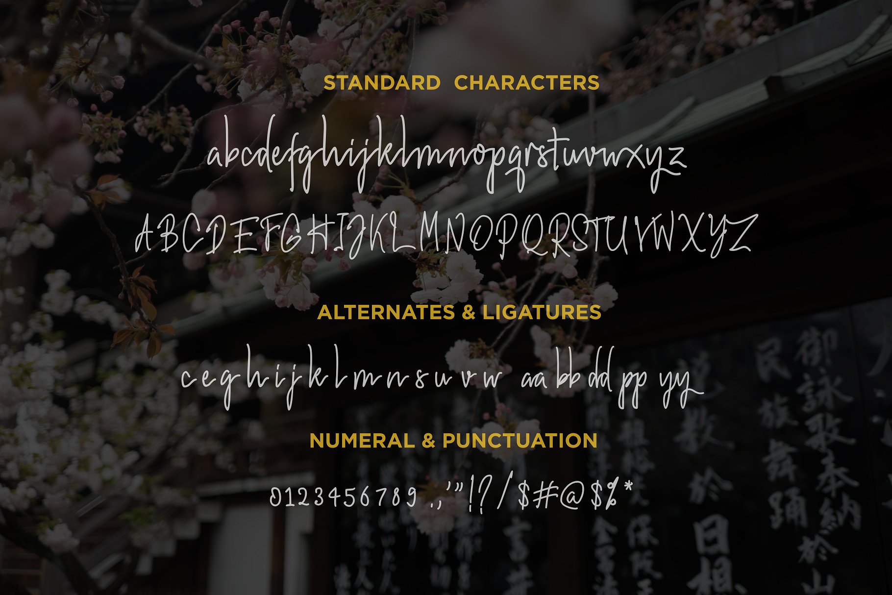 时尚优雅的手写粗笔画和线条字体 Hiroshima – A Stylish Handwritten Font插图6