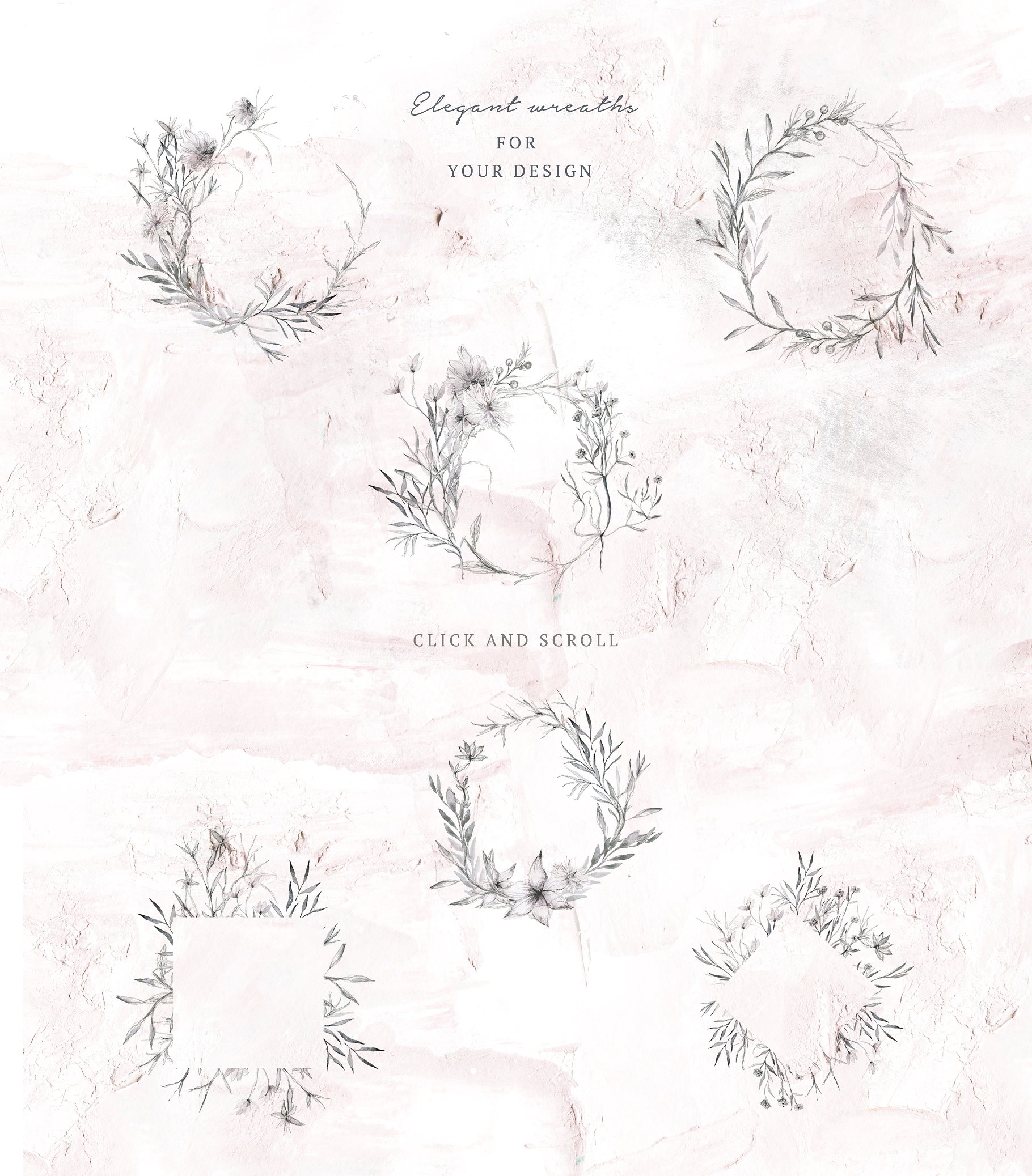 优雅的手绘植物花卉水彩画集 Elegant Hand Drawn Botanical Floral Watercolor Set插图8