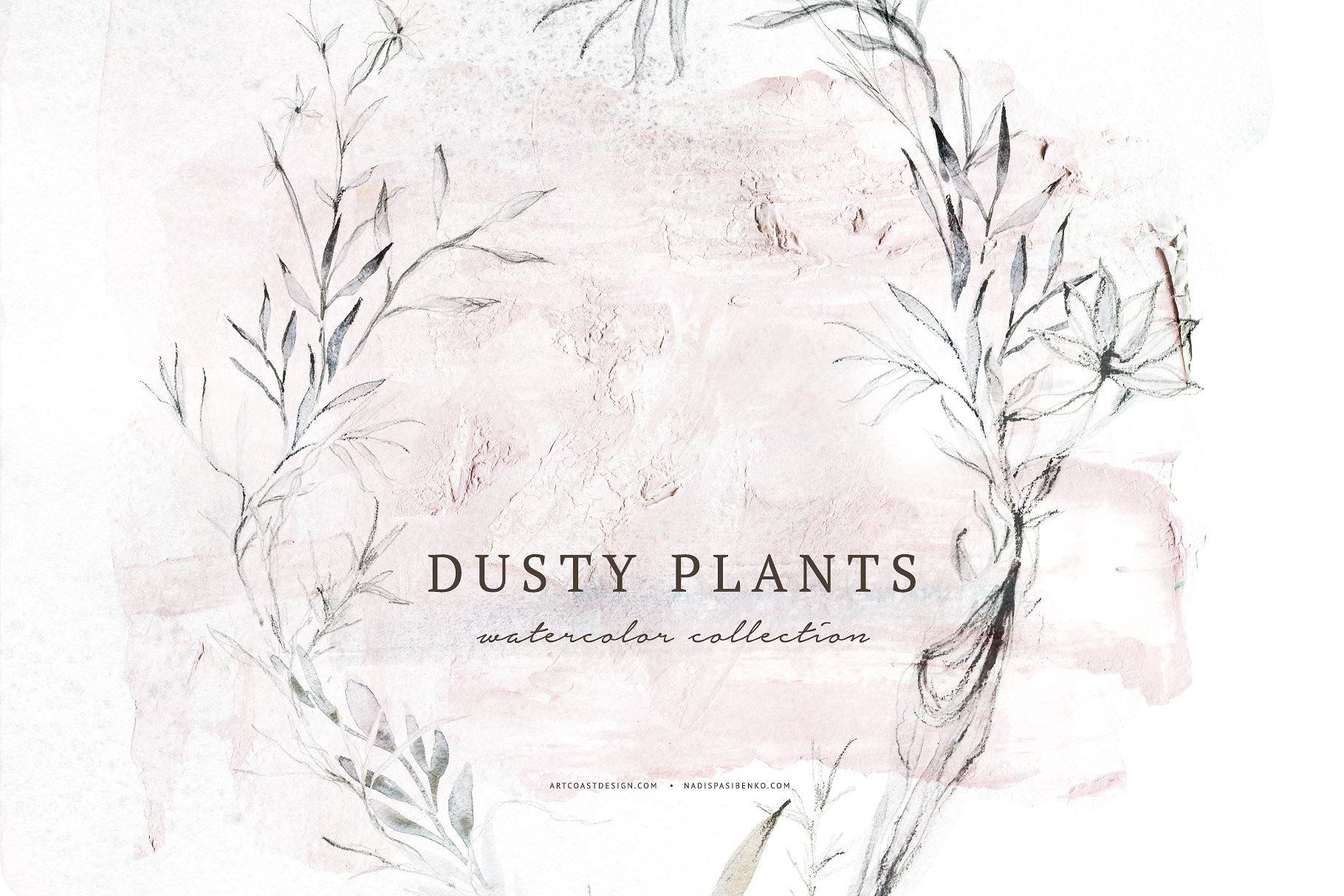 优雅的手绘植物花卉水彩画集 Elegant Hand Drawn Botanical Floral Watercolor Set插图