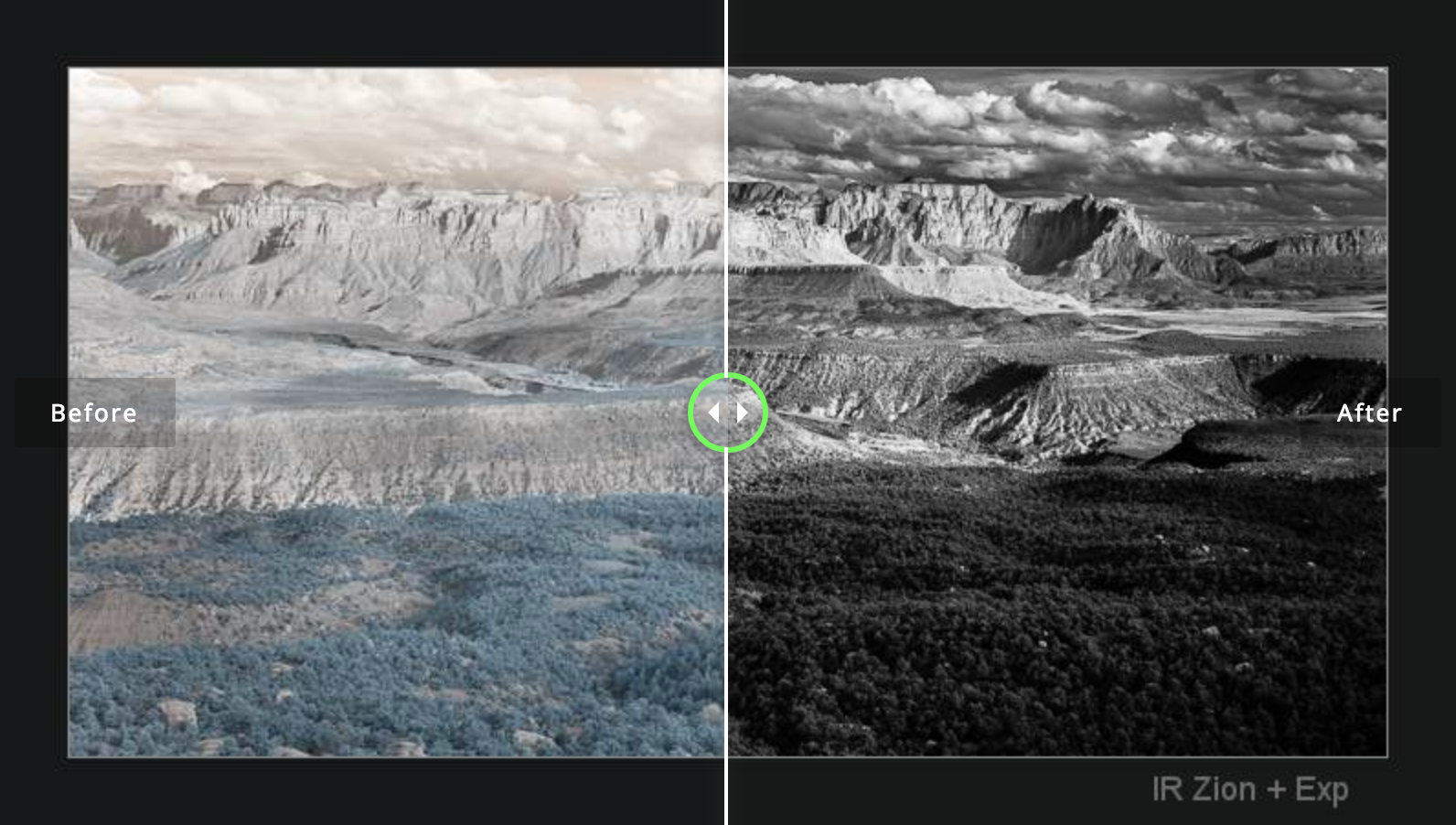 Seim Silvereffects 3.2 for Photoshop/Lightroom一键摄影照片黑白胶片调色预设插件插图8