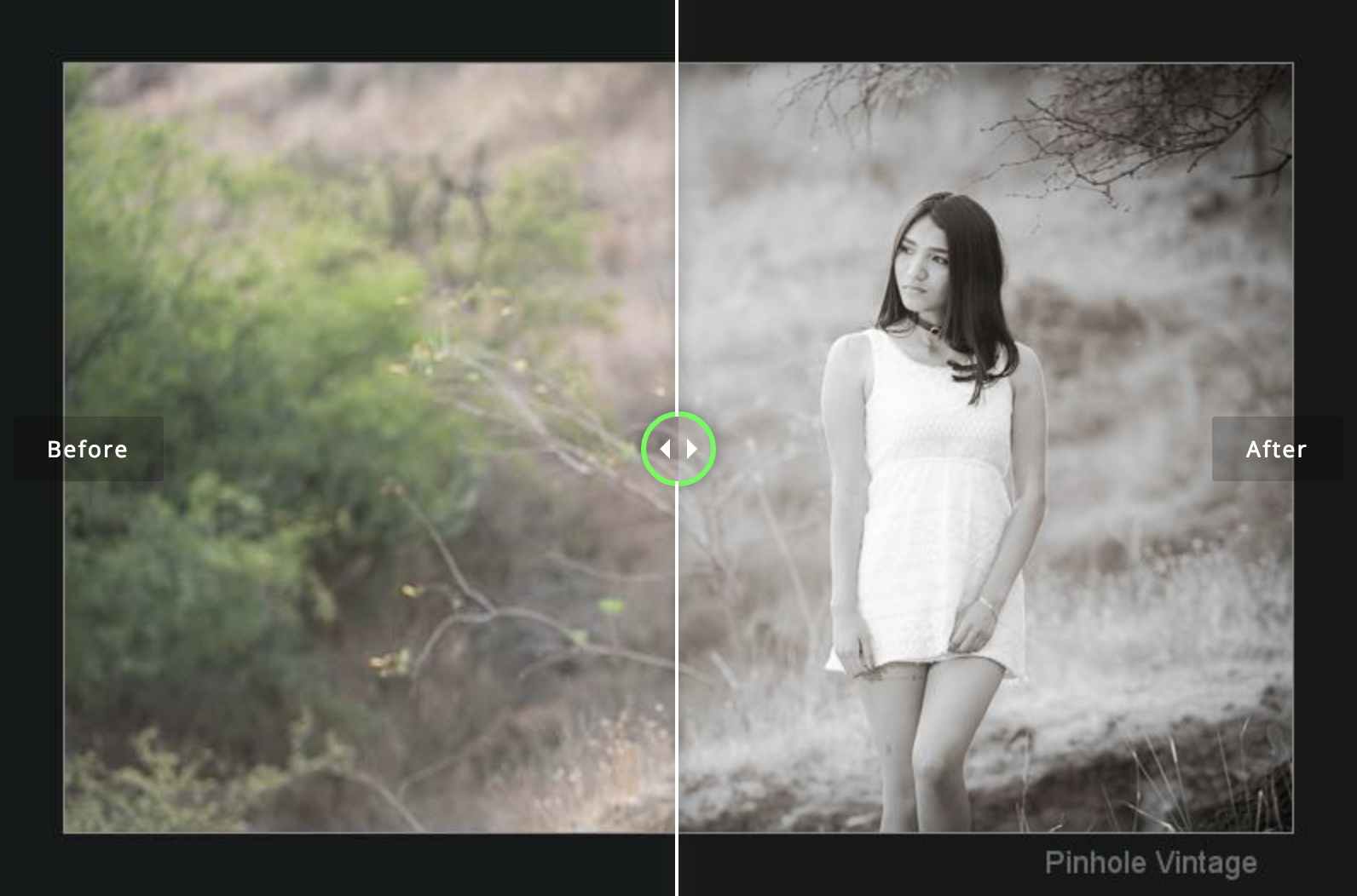 Seim Silvereffects 3.2 for Photoshop/Lightroom一键摄影照片黑白胶片调色预设插件插图7