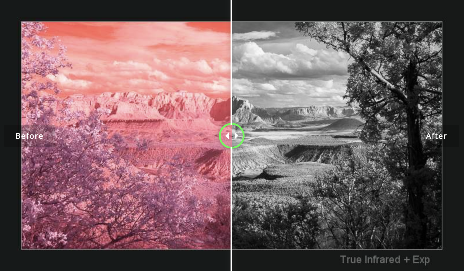 Seim Silvereffects 3.2 for Photoshop/Lightroom一键摄影照片黑白胶片调色预设插件插图5