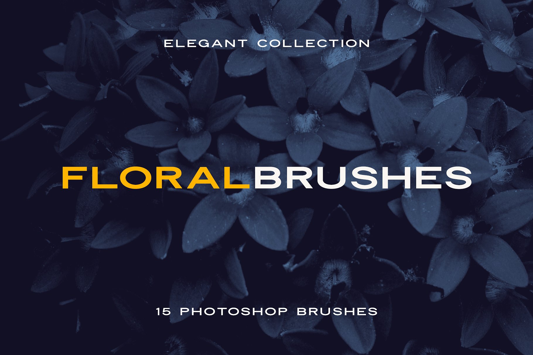 15个优雅的花卉花瓣Photoshop画笔 15 Elegant Floral Petals Photoshop Brushes插图