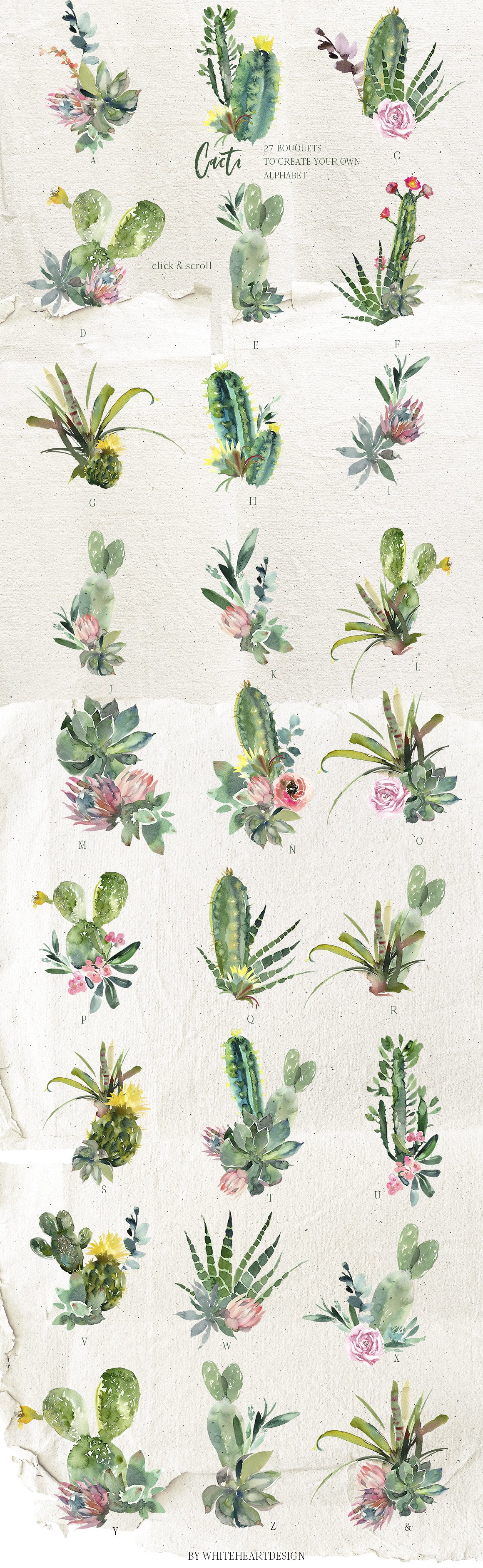 漂亮的手绘仙人掌多肉花卉PNG剪贴画集 Beautiful Hand-Painted Cactus Succulent Flower PNG Clip Art Set插图6