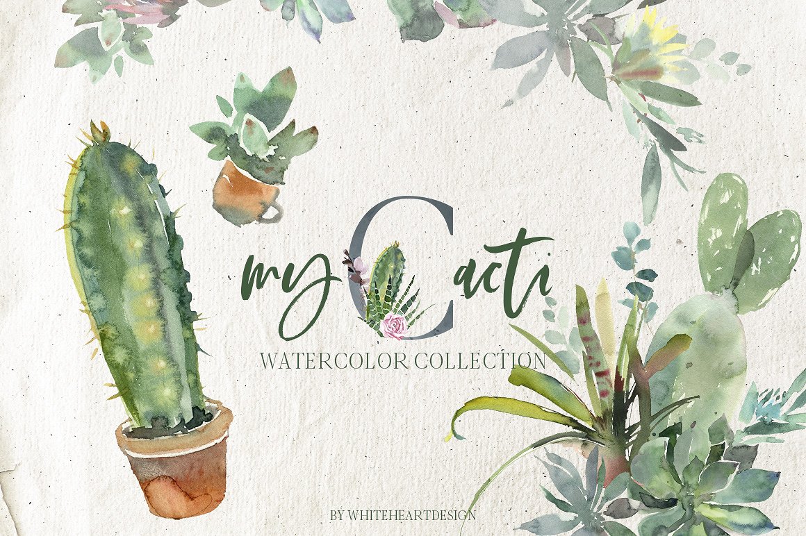 漂亮的手绘仙人掌多肉花卉PNG剪贴画集 Beautiful Hand-Painted Cactus Succulent Flower PNG Clip Art Set插图