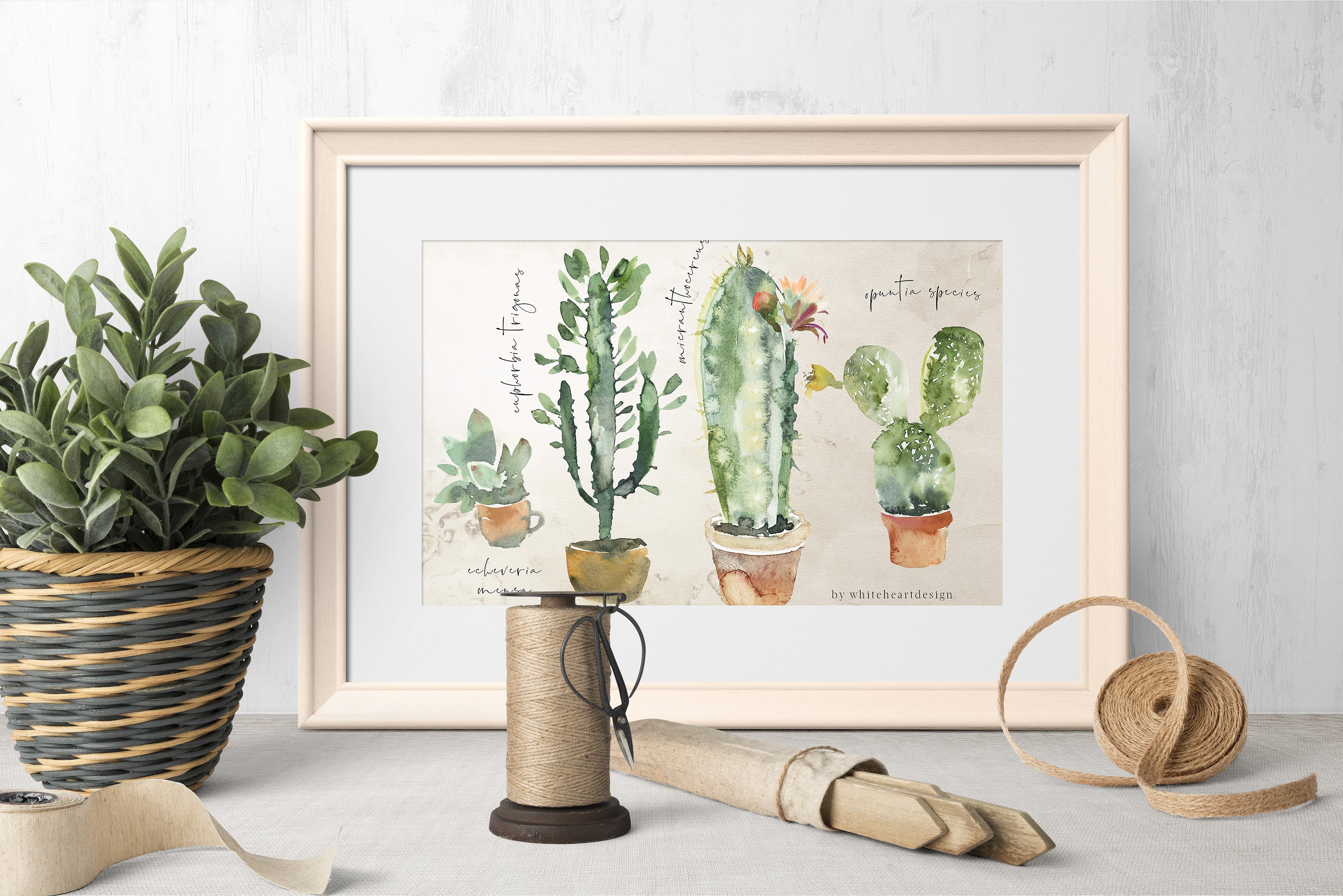 漂亮的手绘仙人掌多肉花卉PNG剪贴画集 Beautiful Hand-Painted Cactus Succulent Flower PNG Clip Art Set插图10