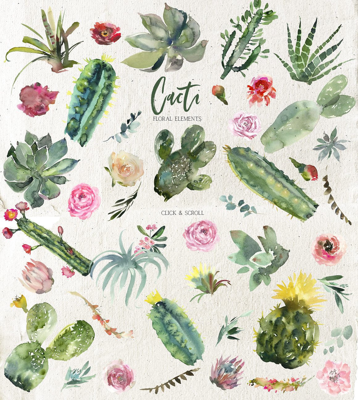 漂亮的手绘仙人掌多肉花卉PNG剪贴画集 Beautiful Hand-Painted Cactus Succulent Flower PNG Clip Art Set插图9