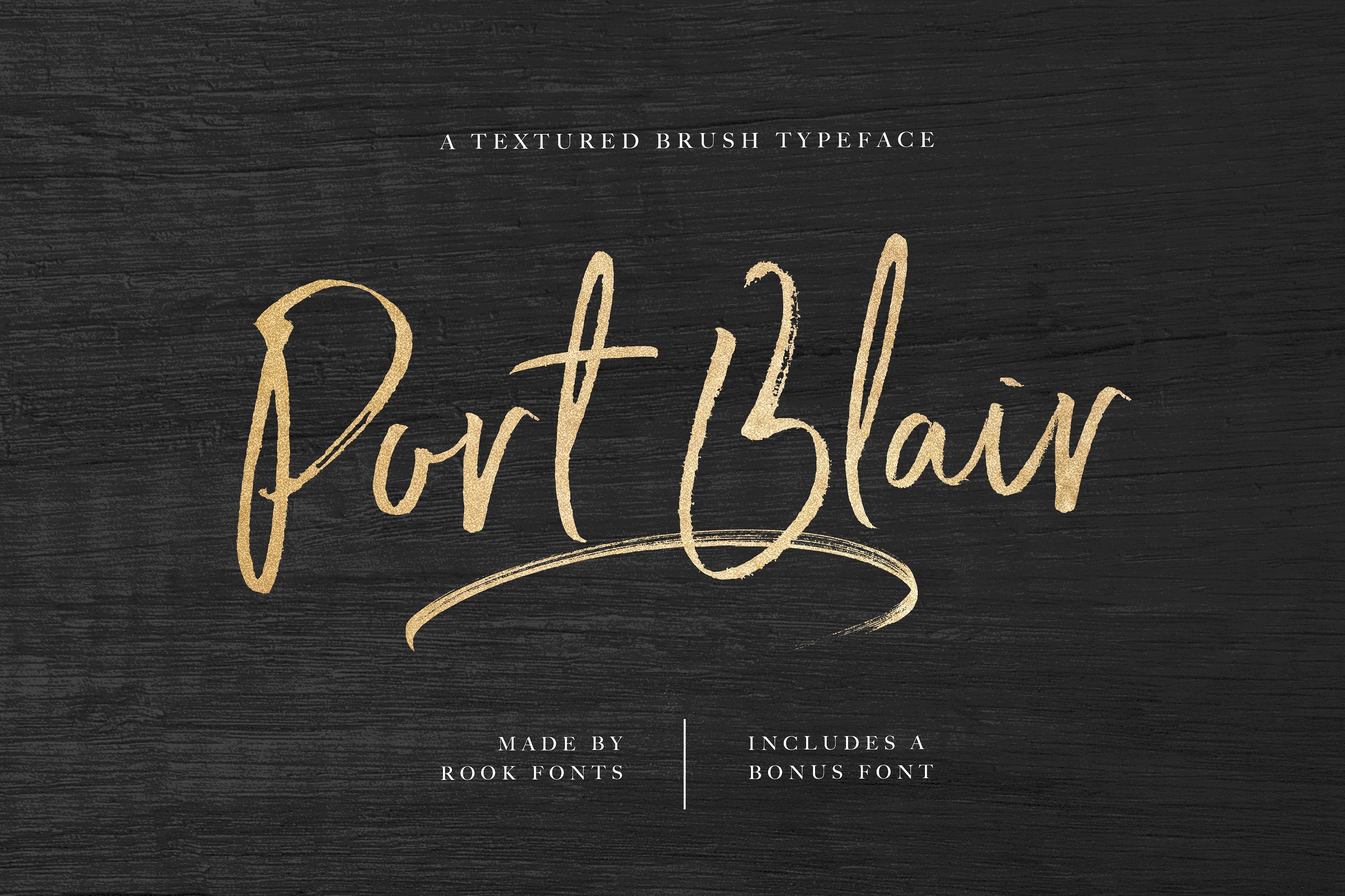 手写自然的标志风格书法字体 Port Blair / Script Font + Bonus插图