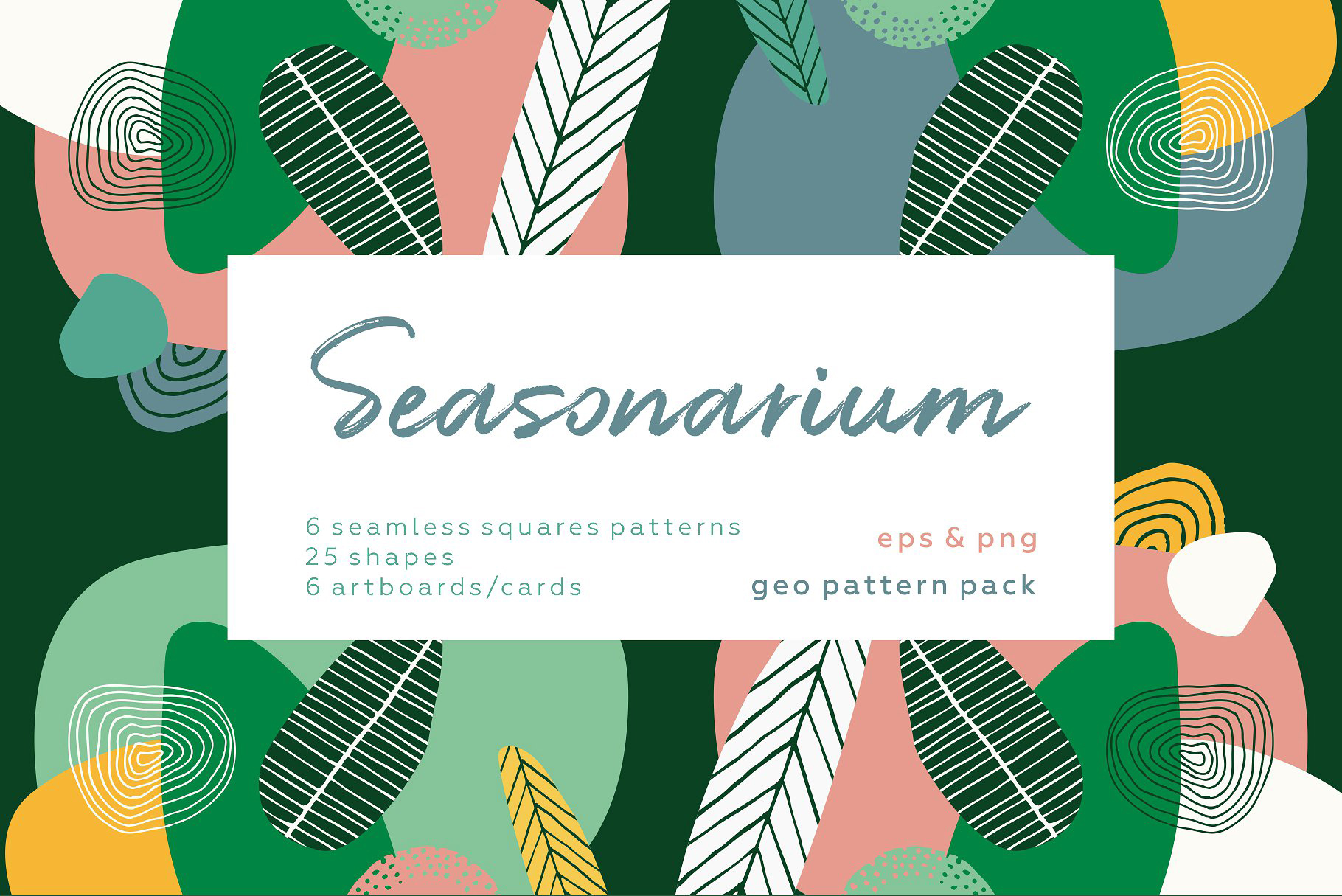 独特的手绘抽象植物花卉图案集合 Seasonarium. Abstract Botanical Set.插图