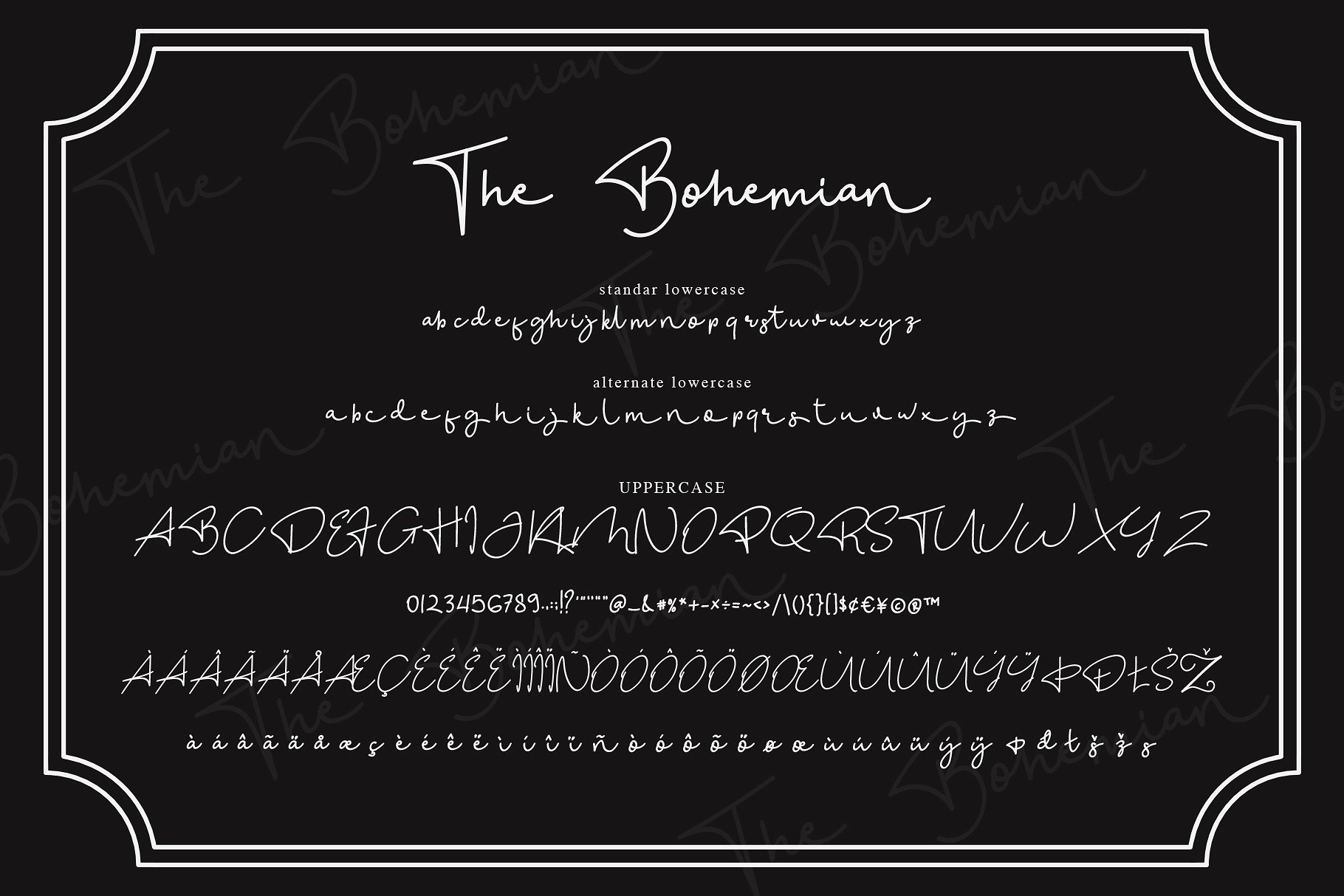 简单优雅波希米亚的风格签名字体 Simple And Elegant Bohemian Style Signature Font插图6