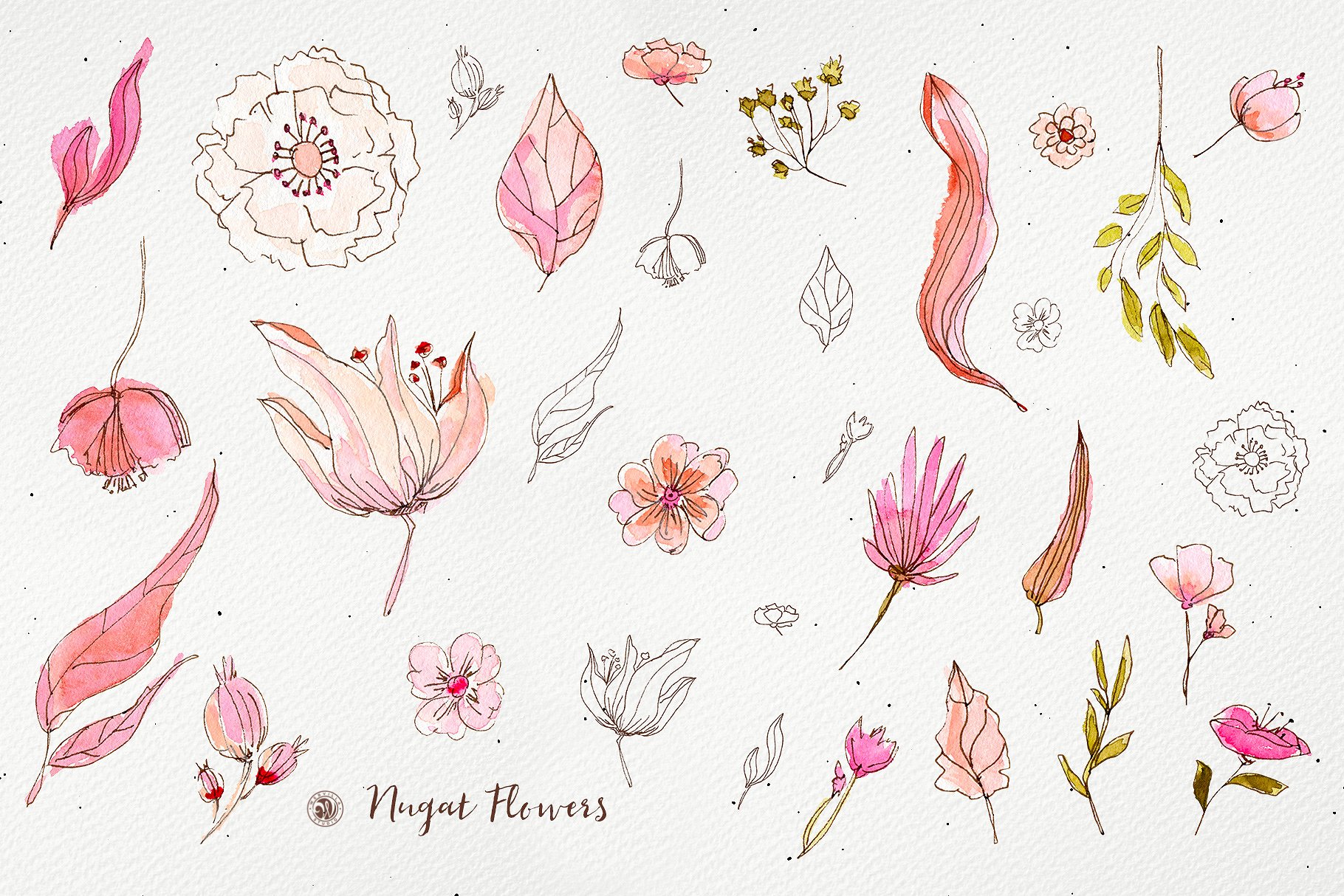 手绘花卉水彩墨水剪贴画集 Hand Drawn Floral Watercolor Ink Clip Art Set插图5