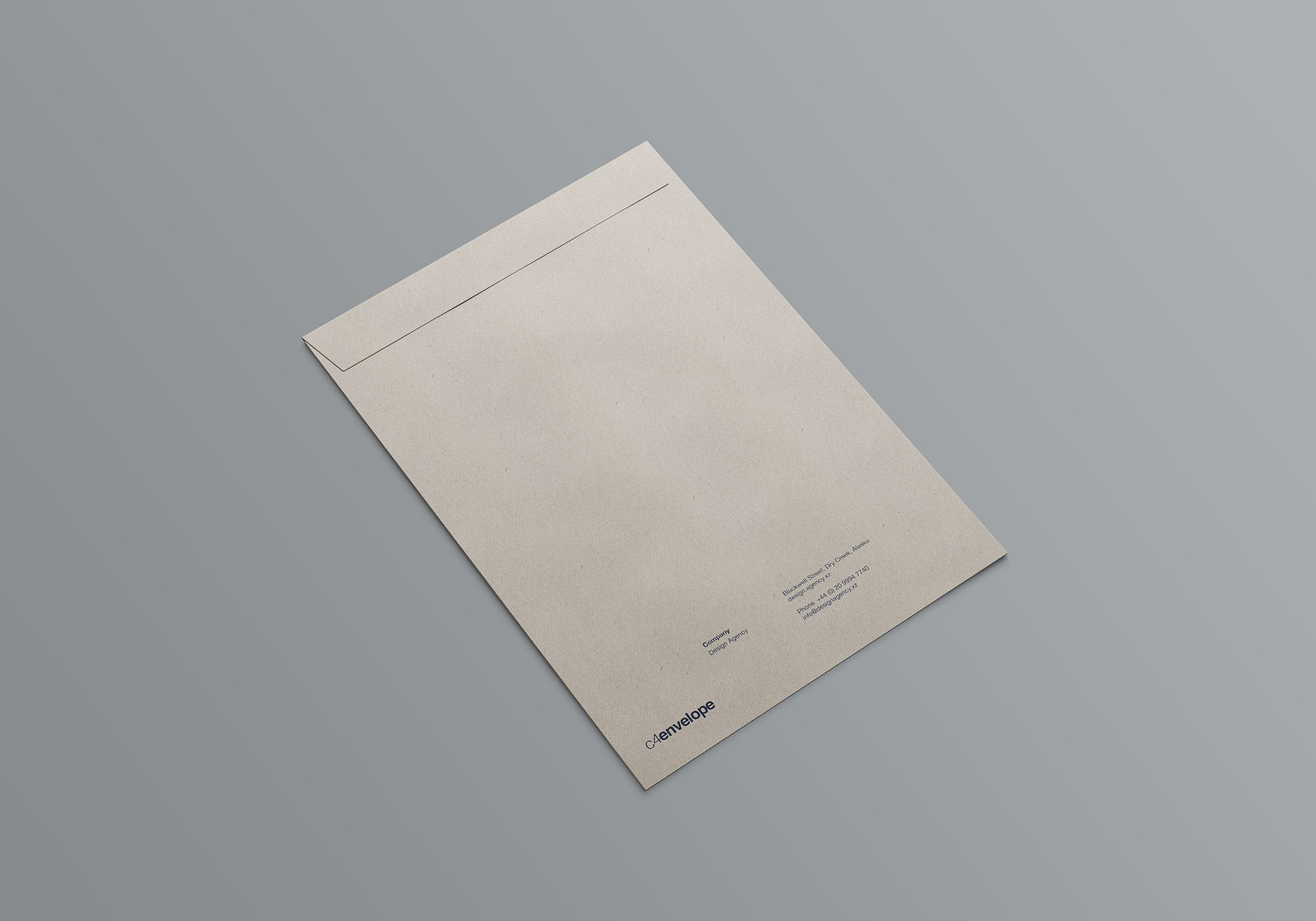 C4档案袋文件夹展示样机 C4 Envelope Mockup插图