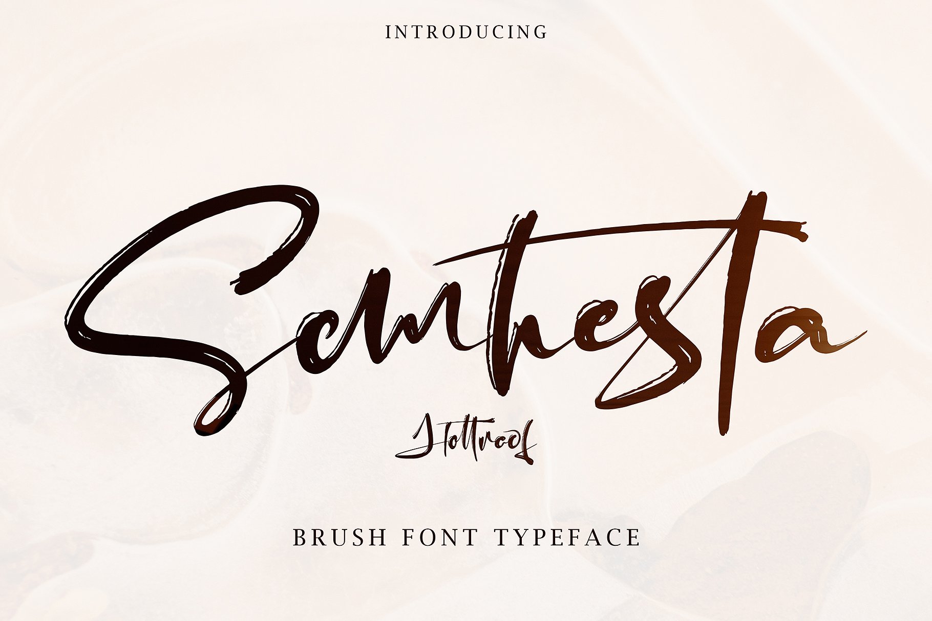 现代婚礼手写书法英文字体 Semhesta Brush Handwritten font插图