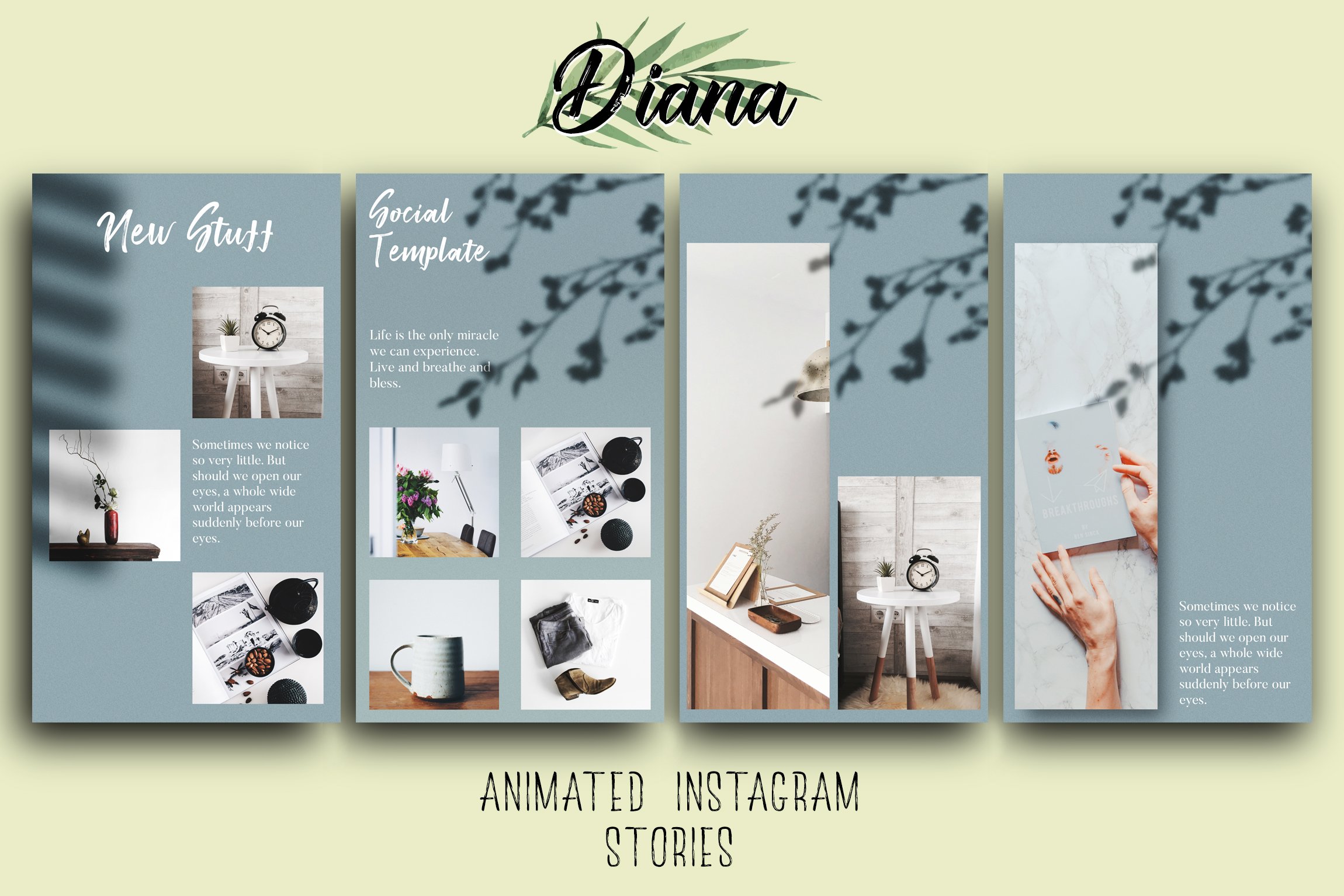 家居饰品小商品营销海报Instagram模板 Diana Animated Instagram Stories插图1