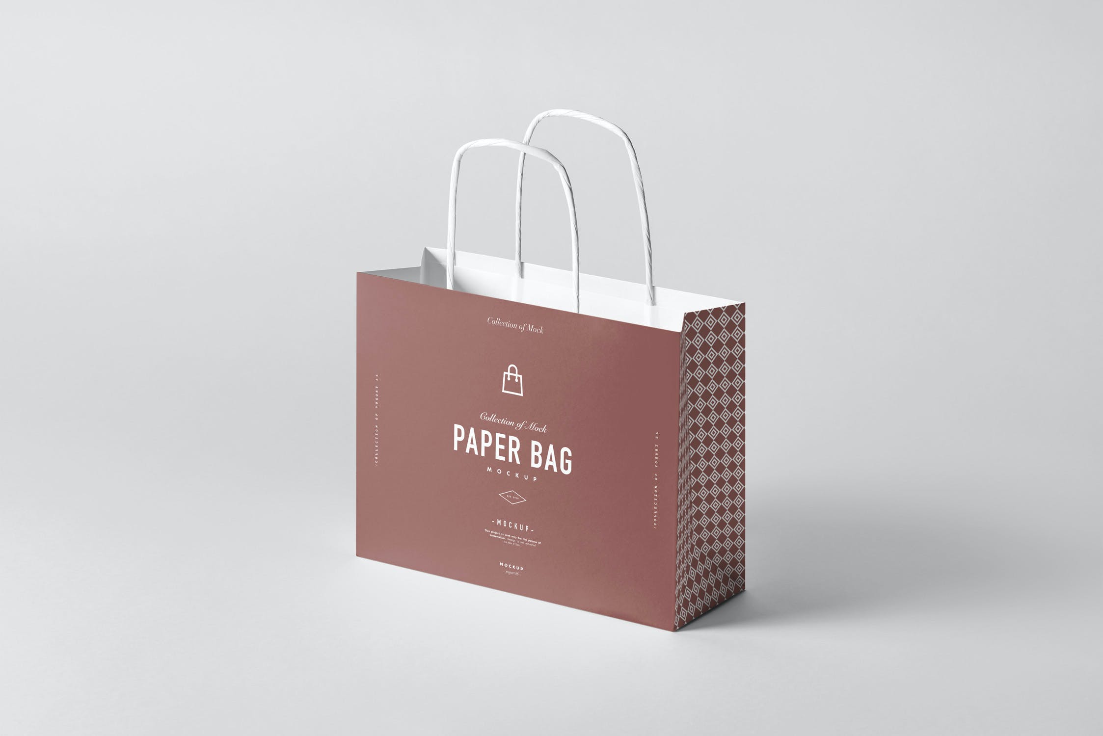 8款商城购物纸质手提袋样机模板 paper bag mockup