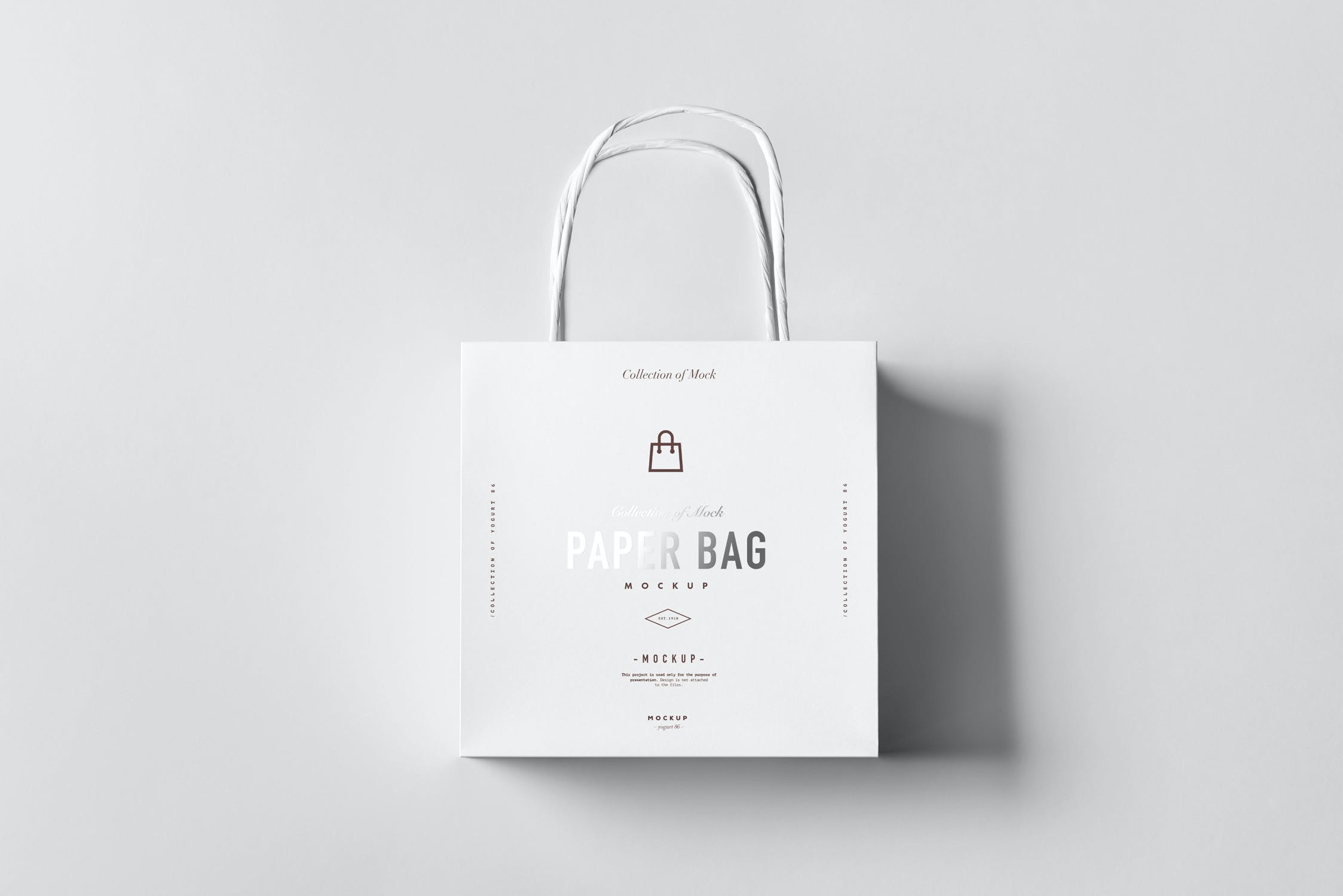 8款商城购物纸质手提袋样机模板 paper bag mockup