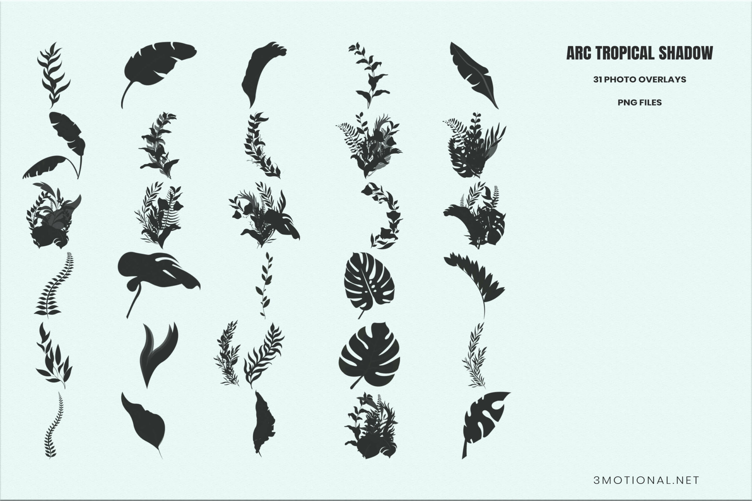 31种高清树叶阴影叠加层png免抠图片设计素材 31 arc real tropical