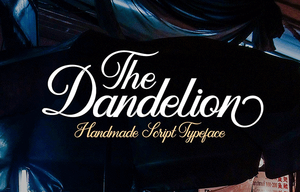 蒲公英字体脚本 Dandelion Front