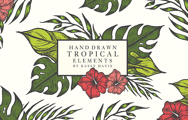 手绘热带植物花卉元素 Hand Drawn Tropical Vector Elements