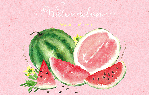 西瓜水彩水果和鲜花剪贴画 Watermelon watercolor clipart