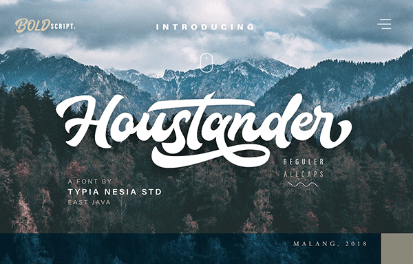现代手写标志或标题字体 Houstander Font Duo