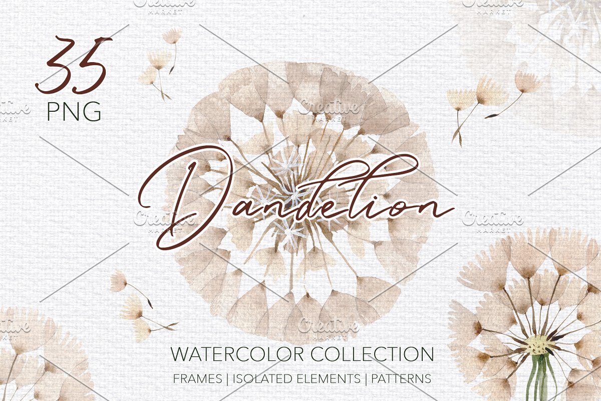 夏季手绘蒲公英水彩PNG画集 Summer Dandelion Collection插图
